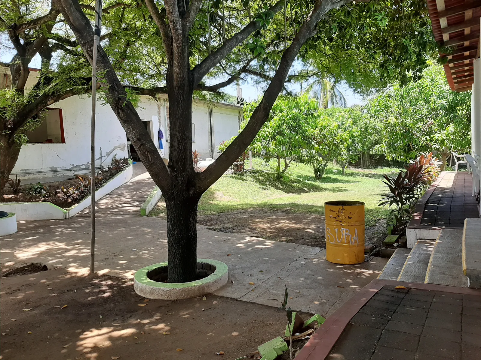 Chi-Palace image 10