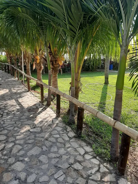 Jardin De Eventos Casa Mia image 4