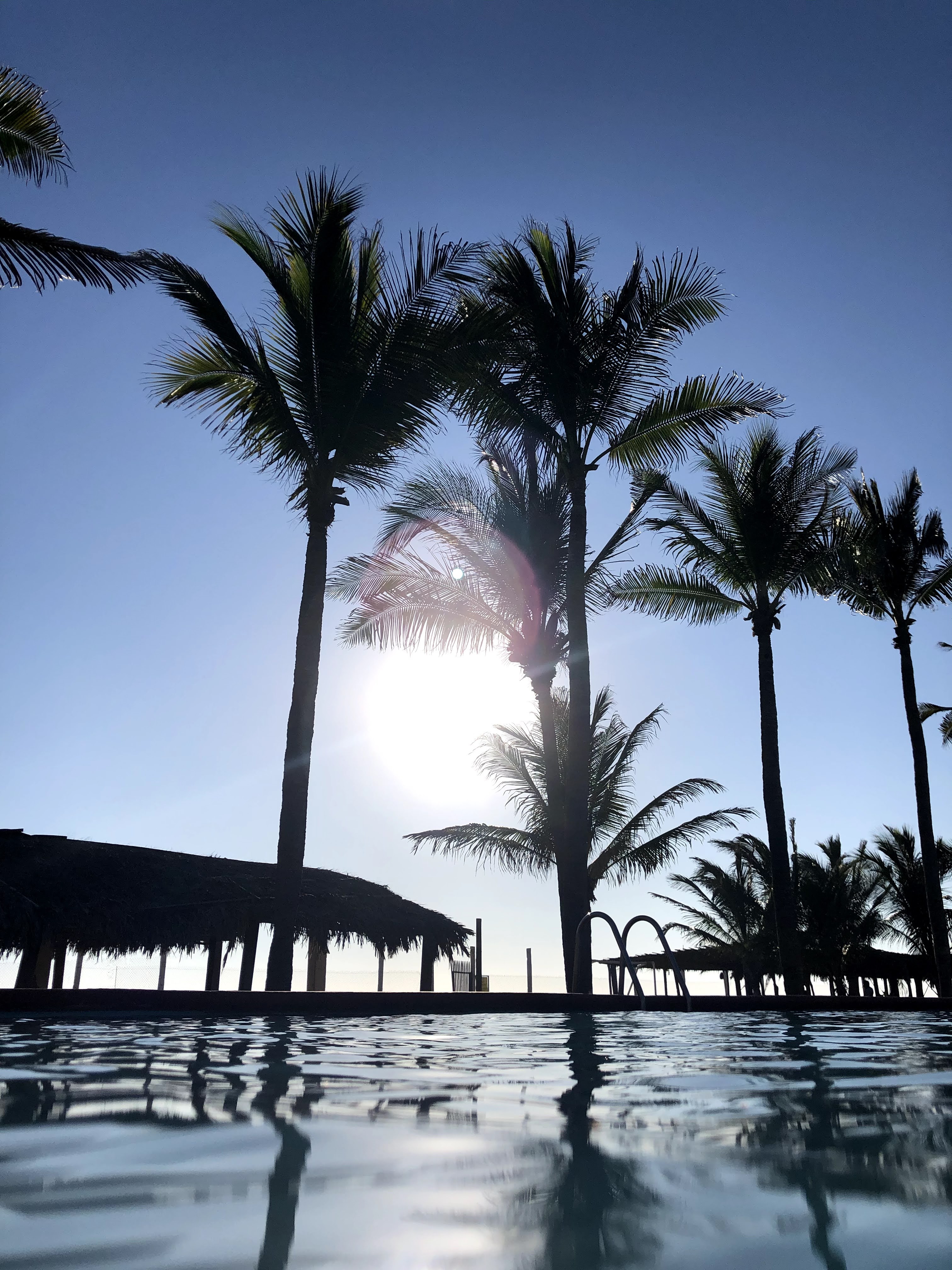 Jardin De Eventos Casa Mia image 5