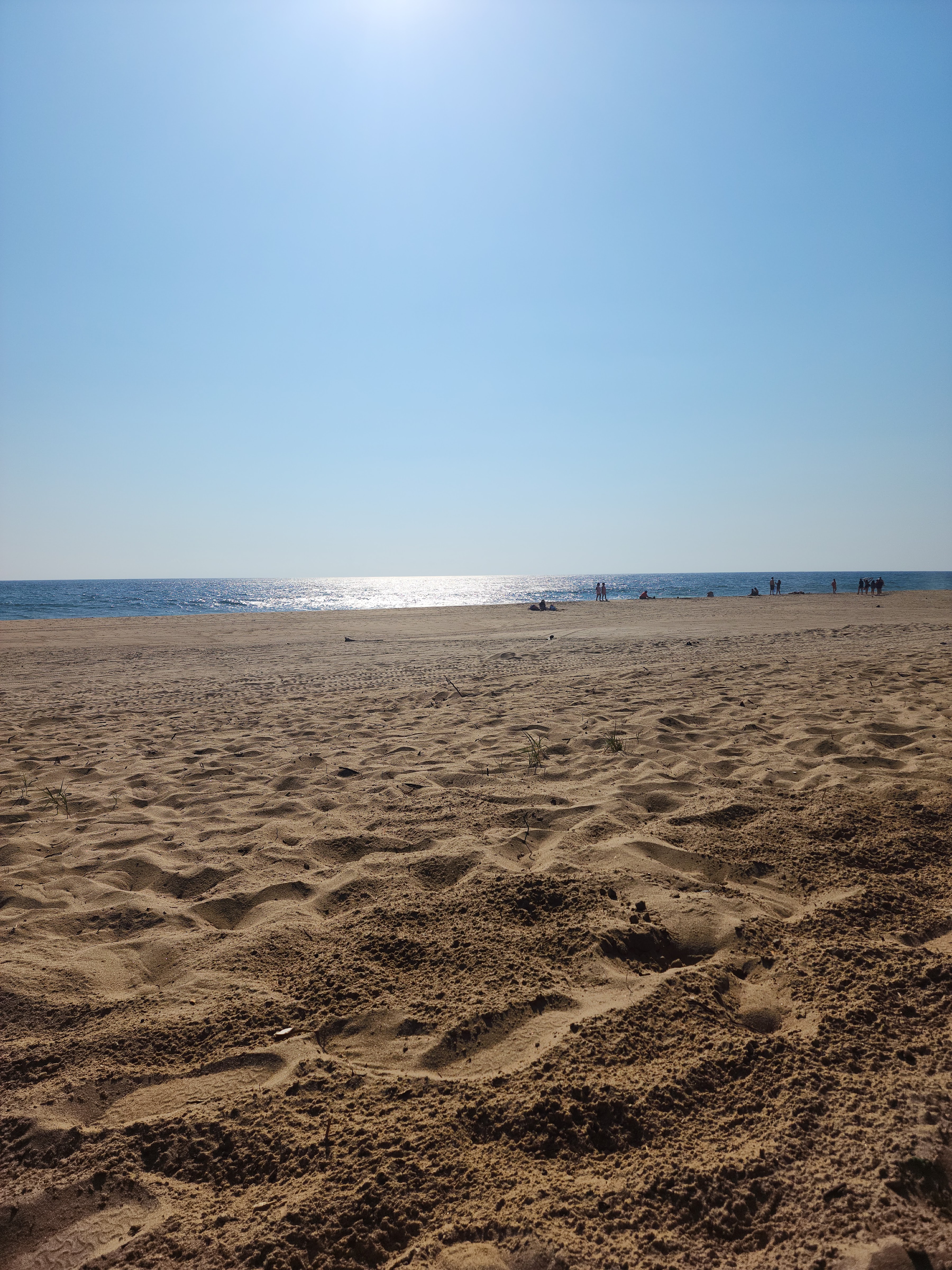 endor beach club image 5