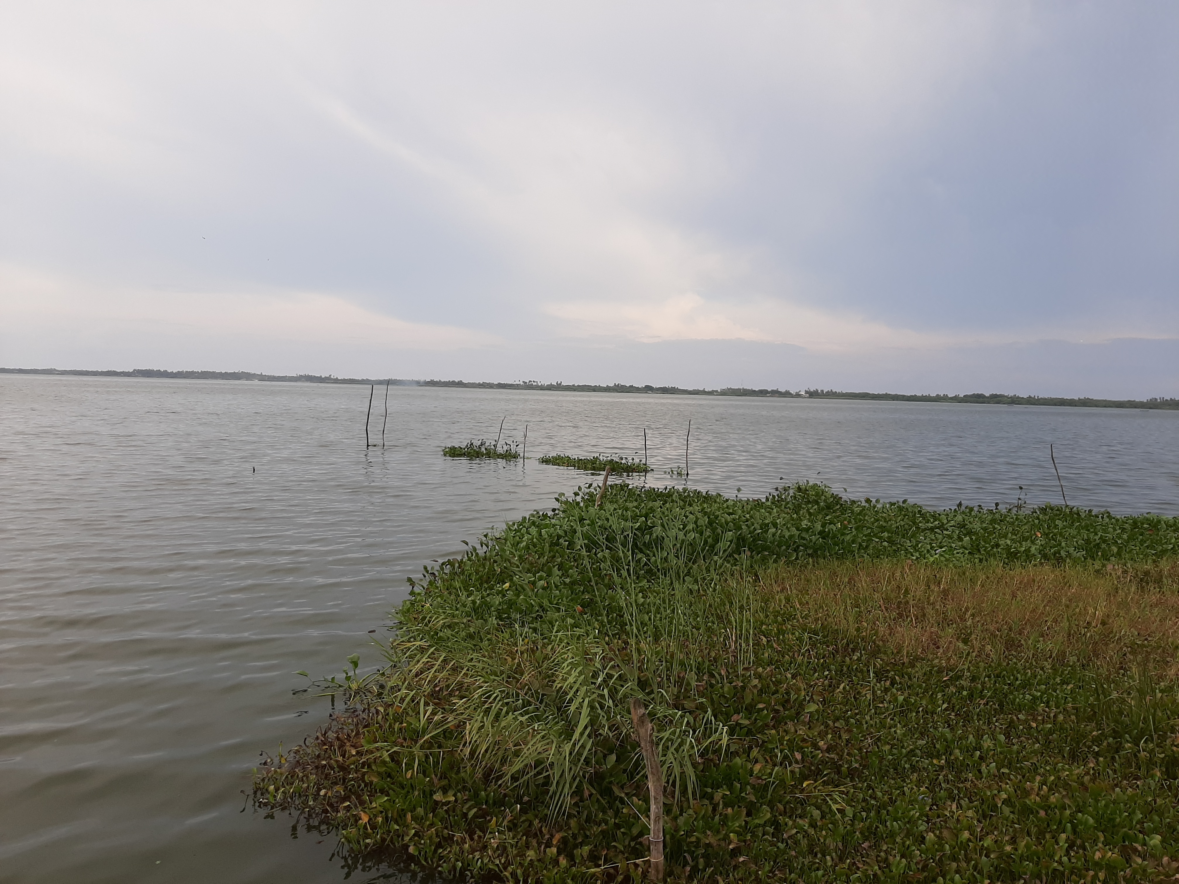 Enramada Mari image 5