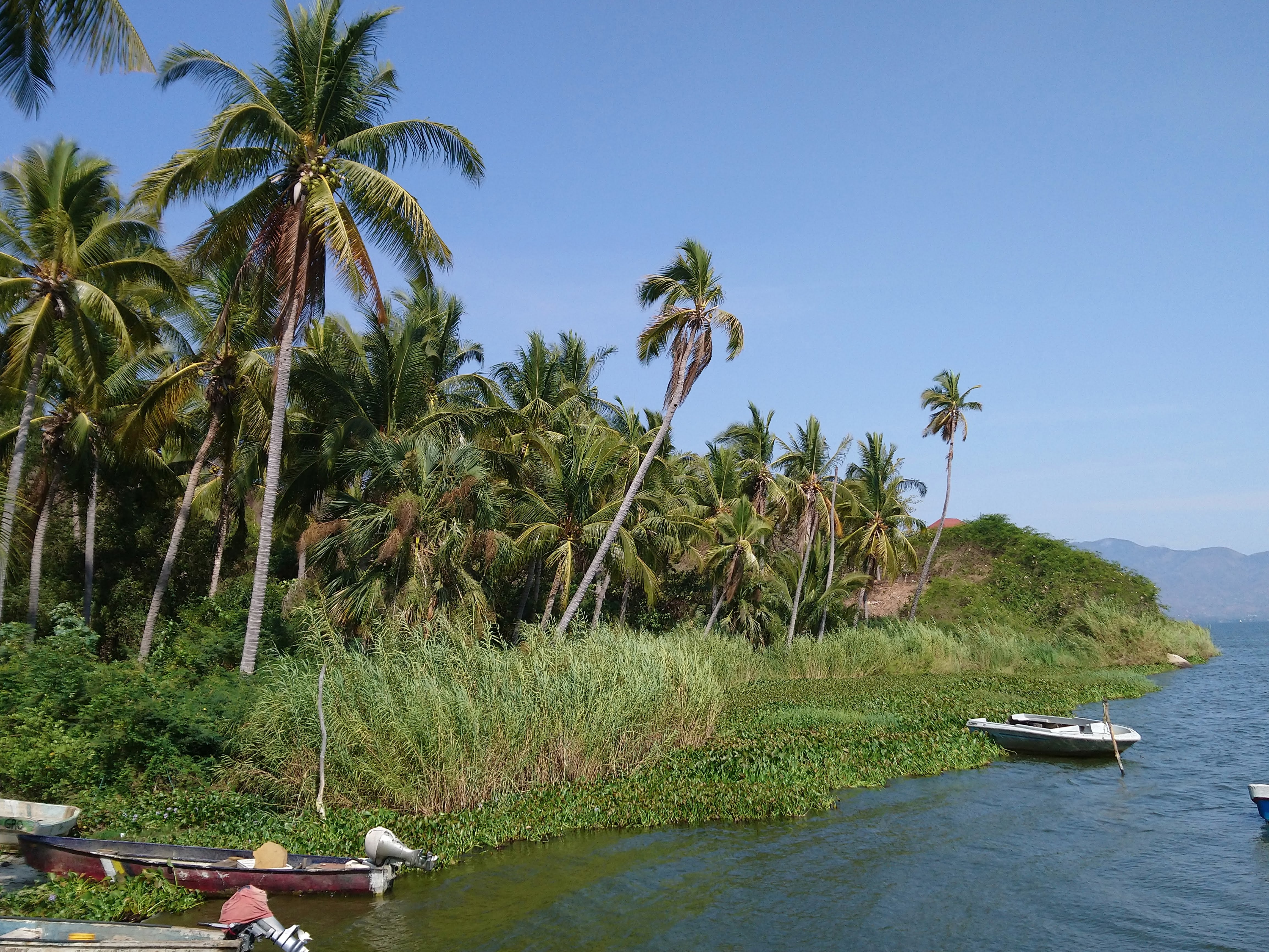 Enramada Mari image 6