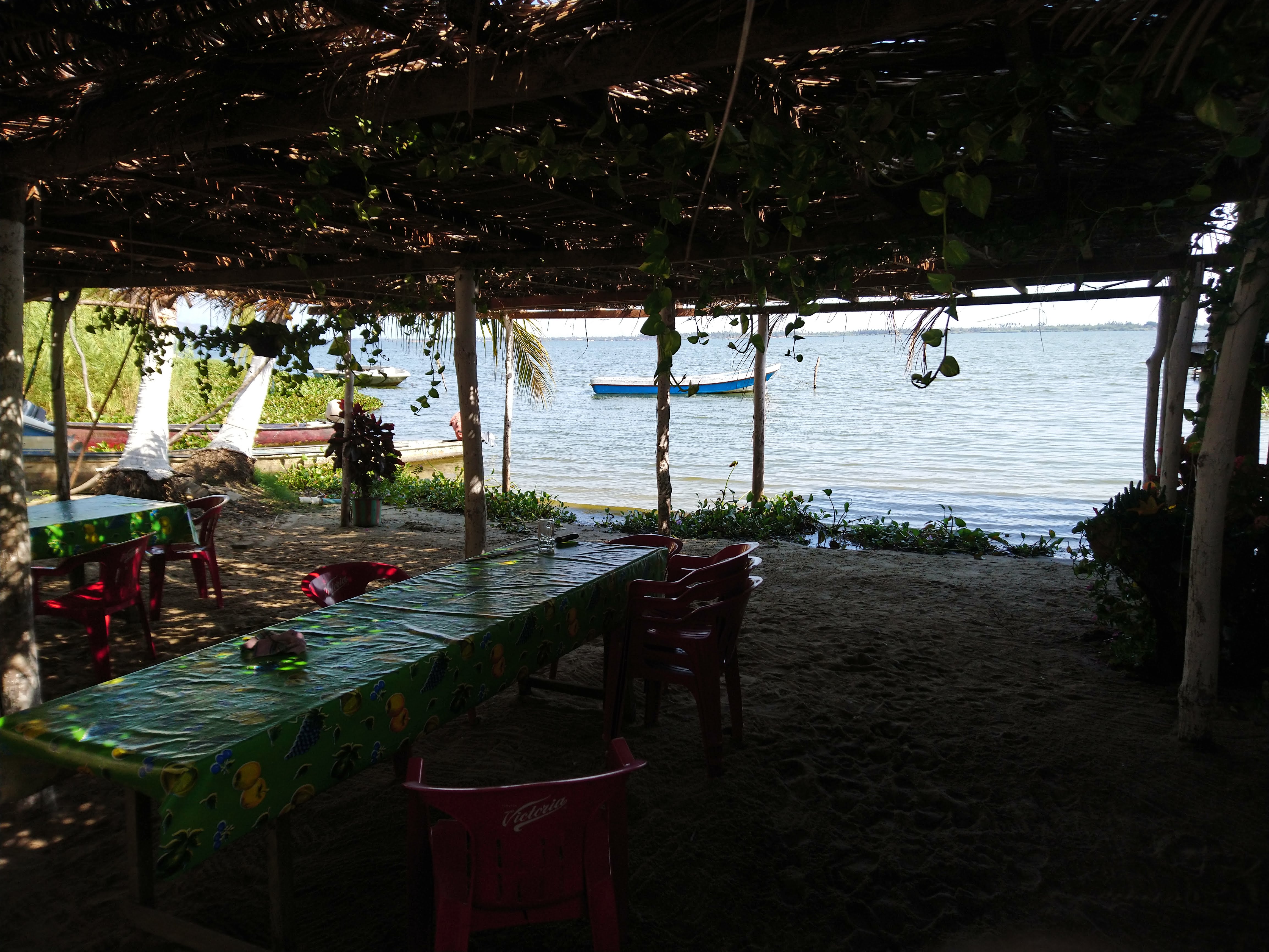 Enramada Mari image 7