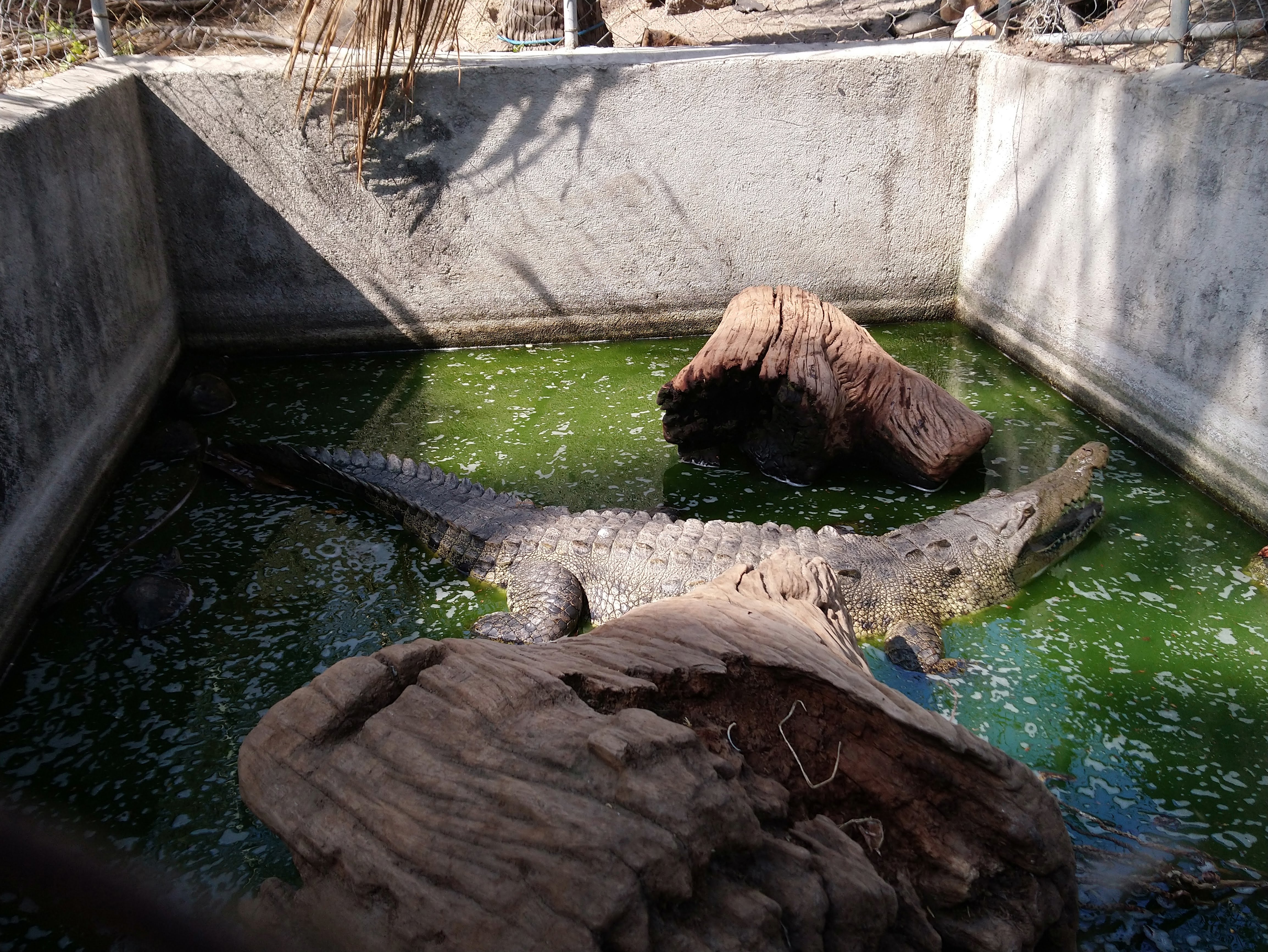 Enramada Mari image 8