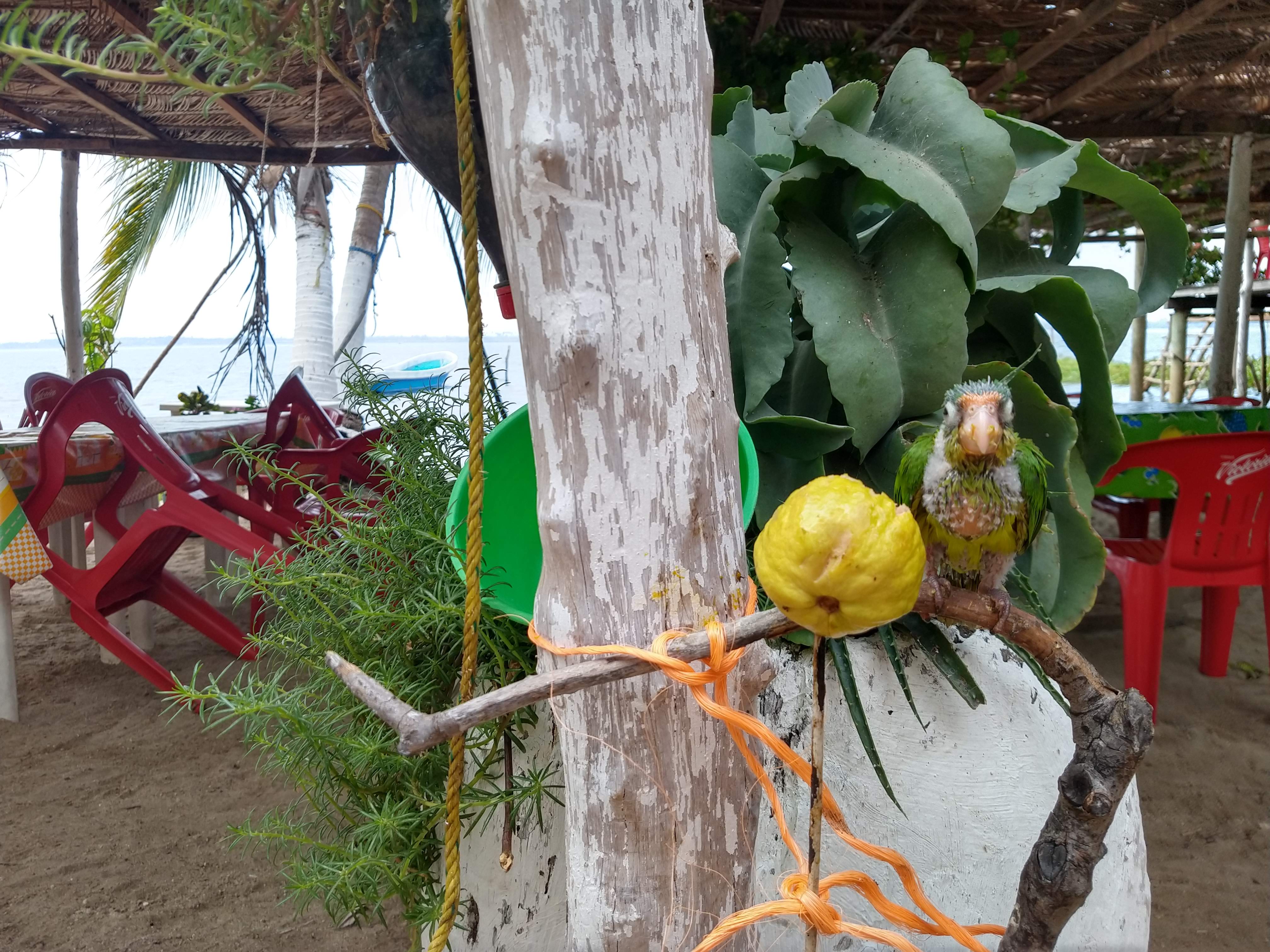 Enramada Mari image 10