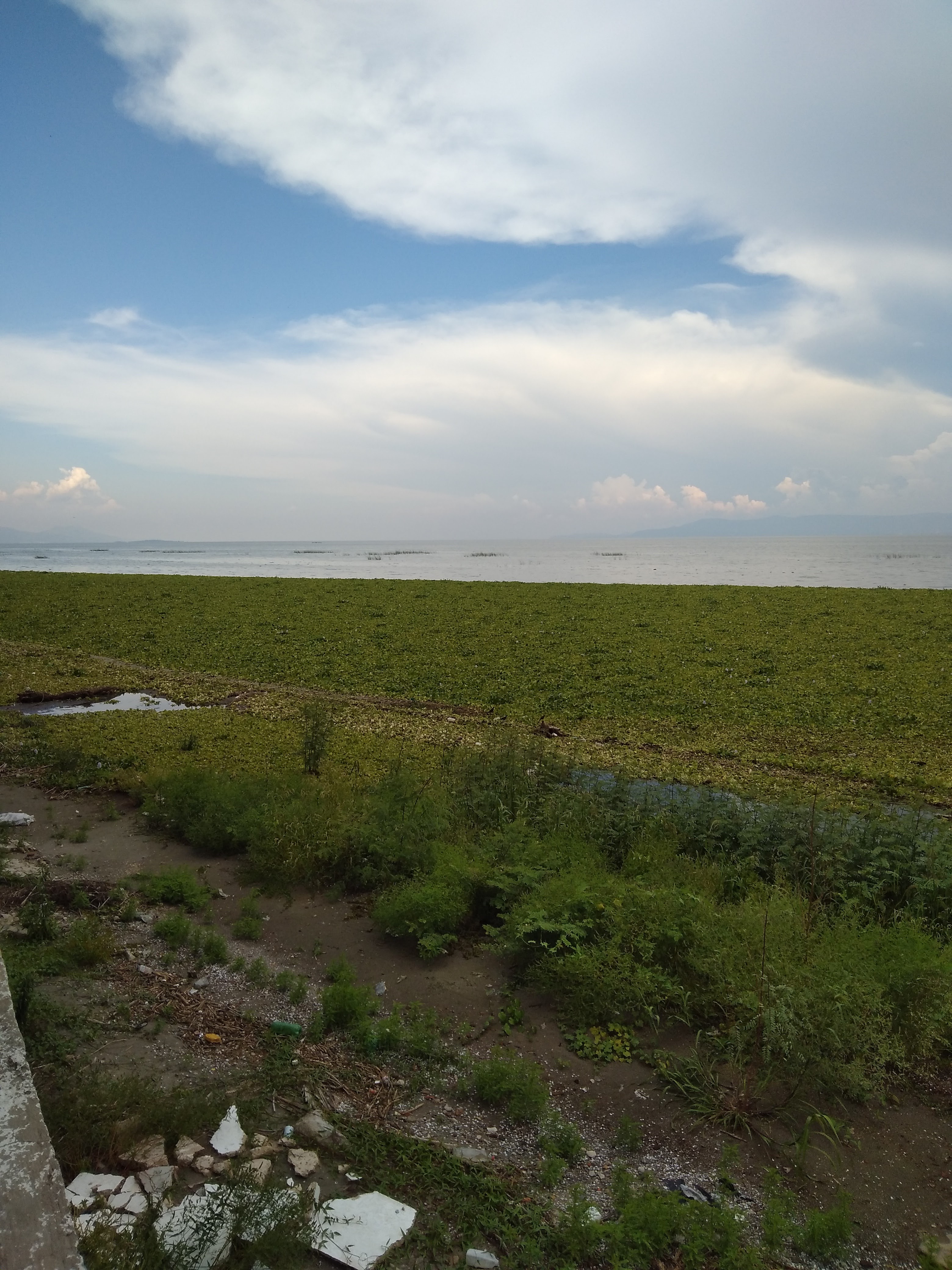 Restaurante Acapulquito image 4