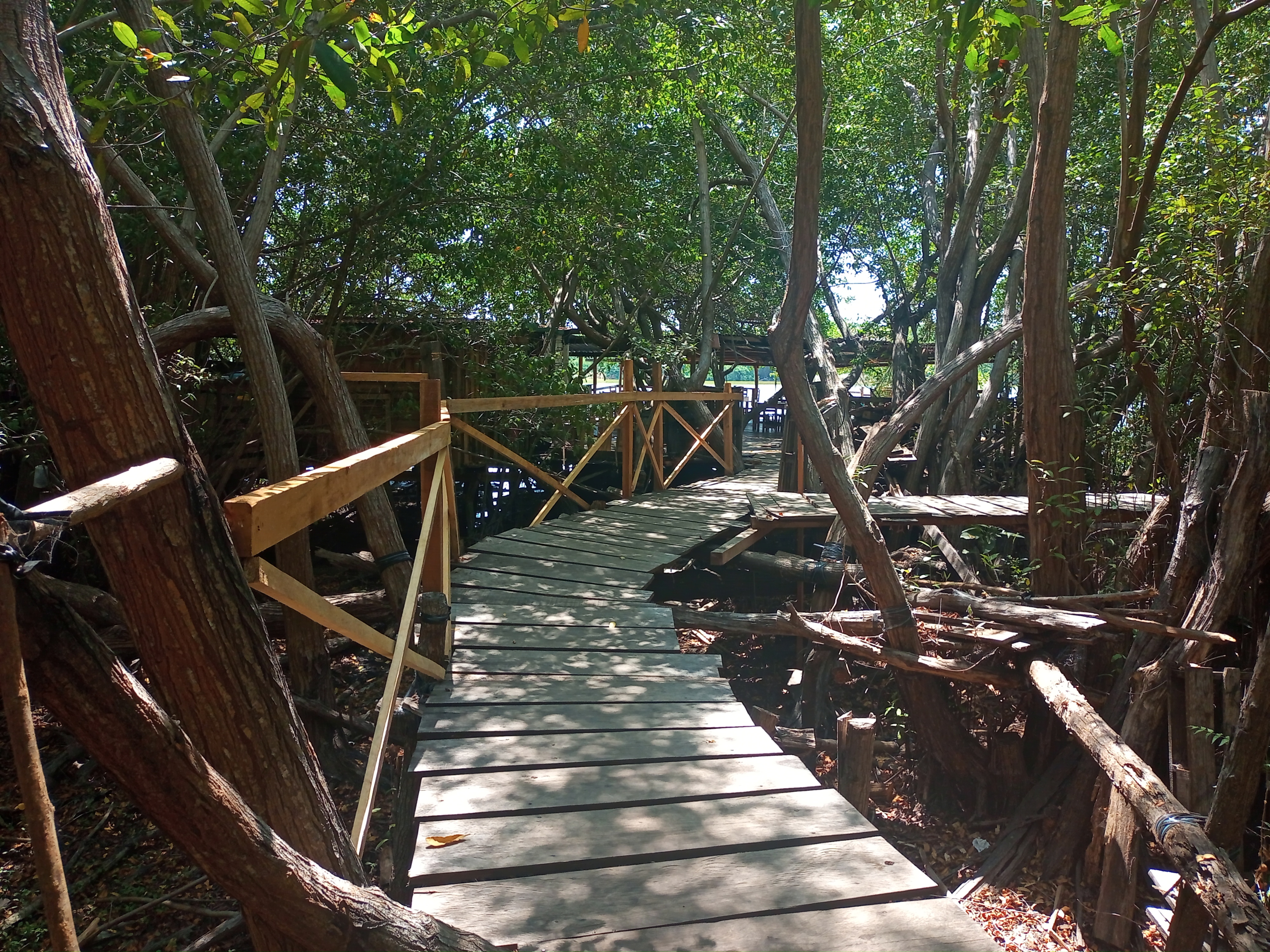 Restaurante los manglares image 6