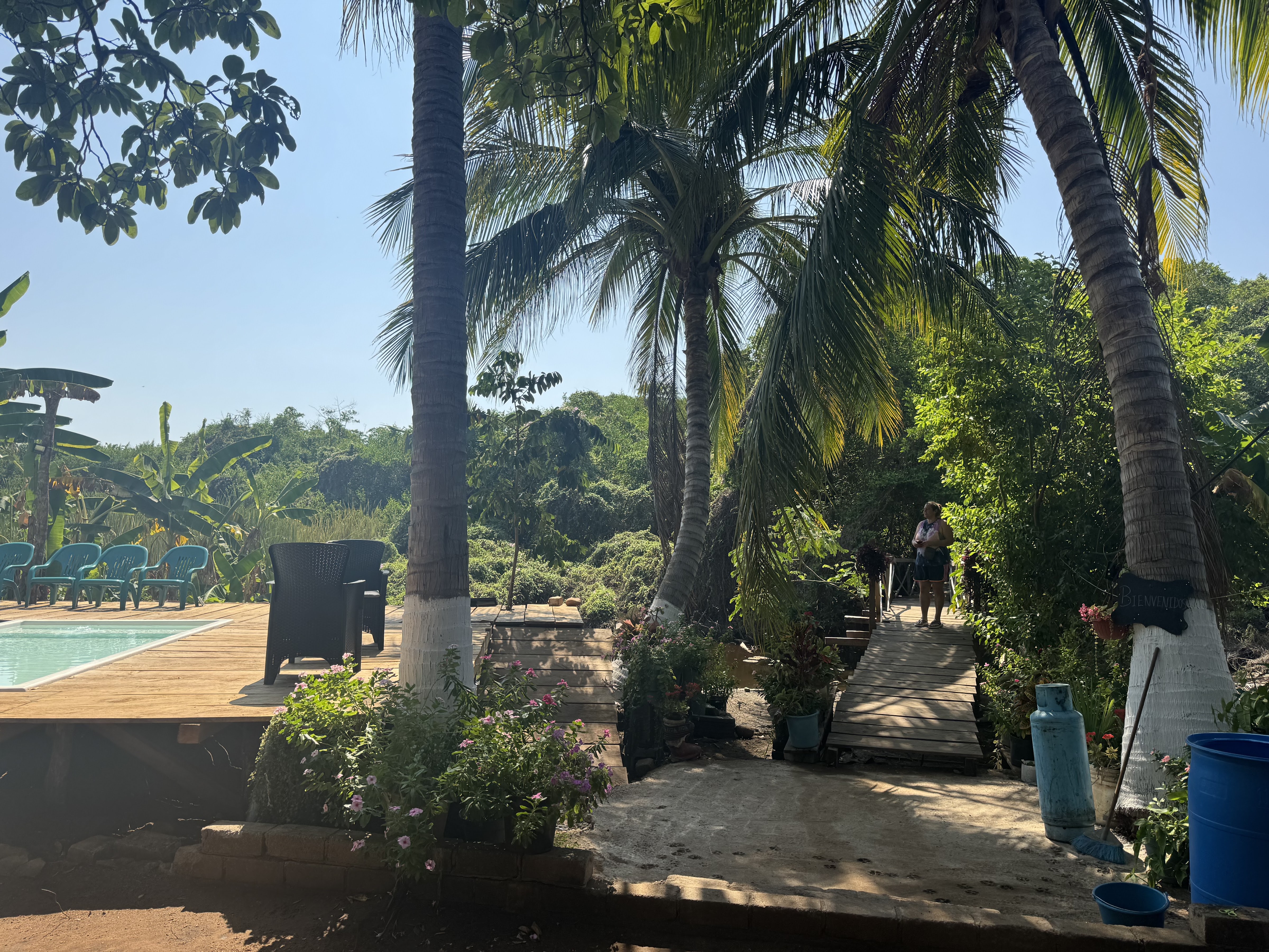 Restaurante los manglares image 8