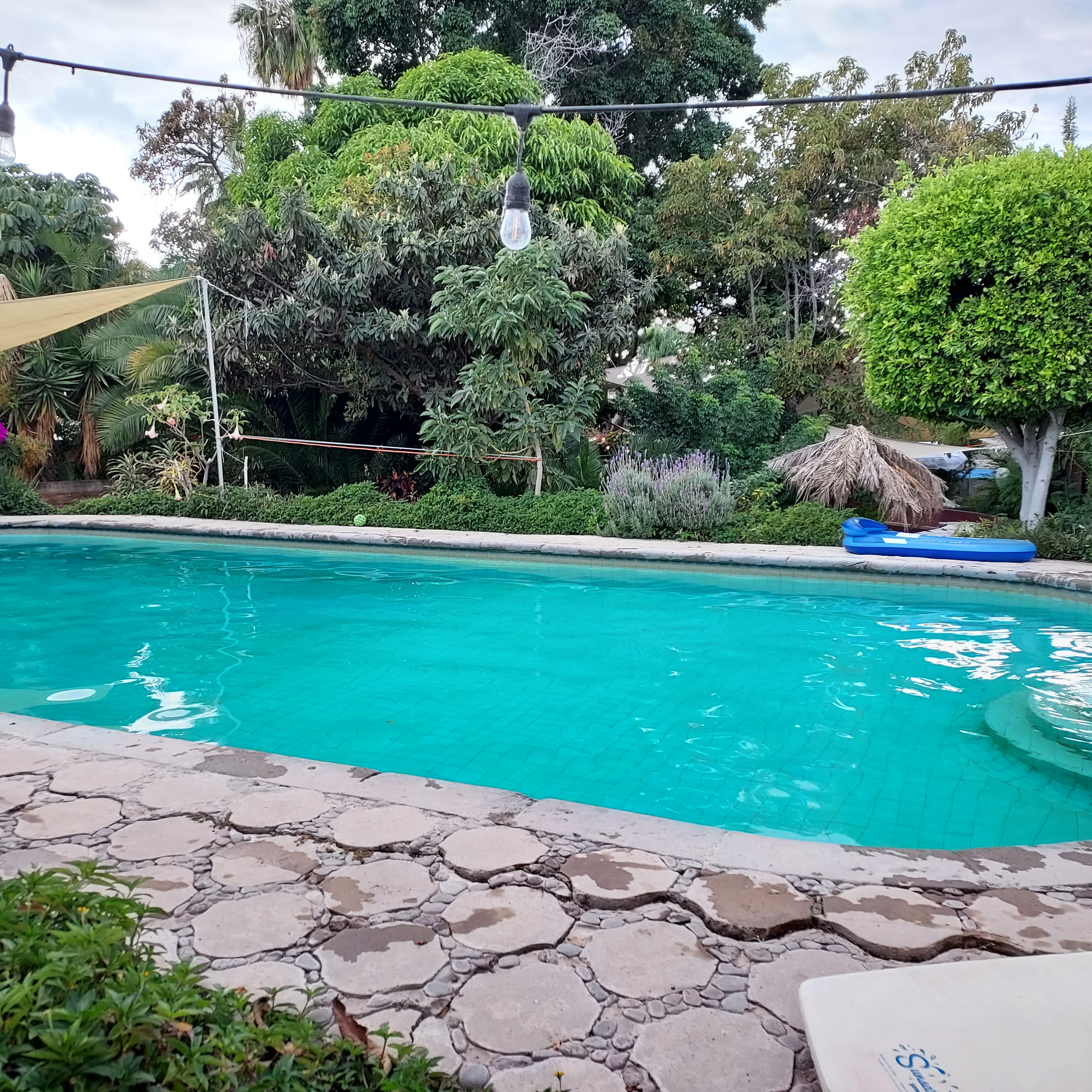 Mel's Casa Social image 4