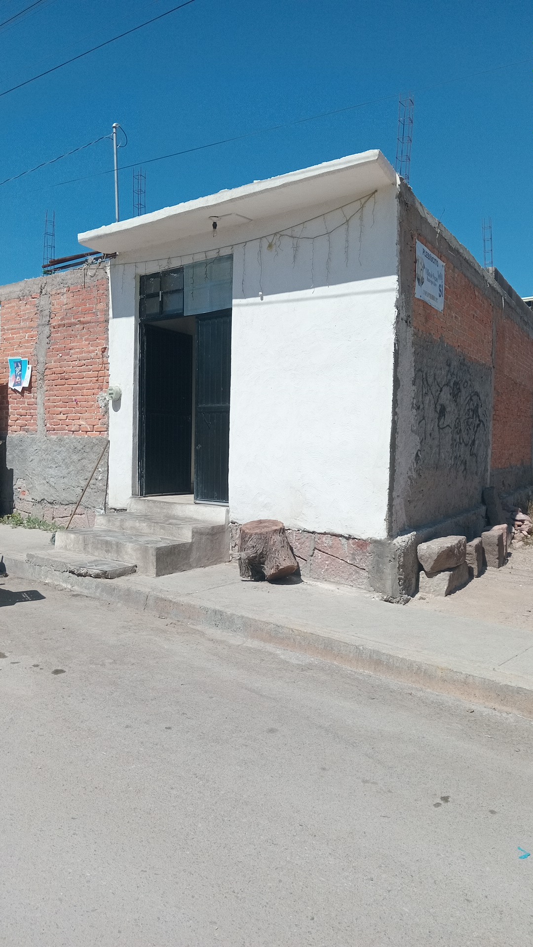 Goriditas "chatis" image 1