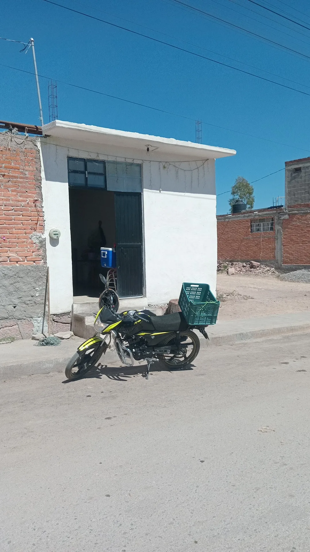 Goriditas "chatis" image 2