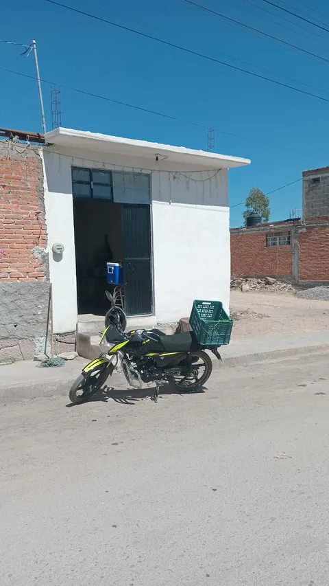 Goriditas "chatis" image 2