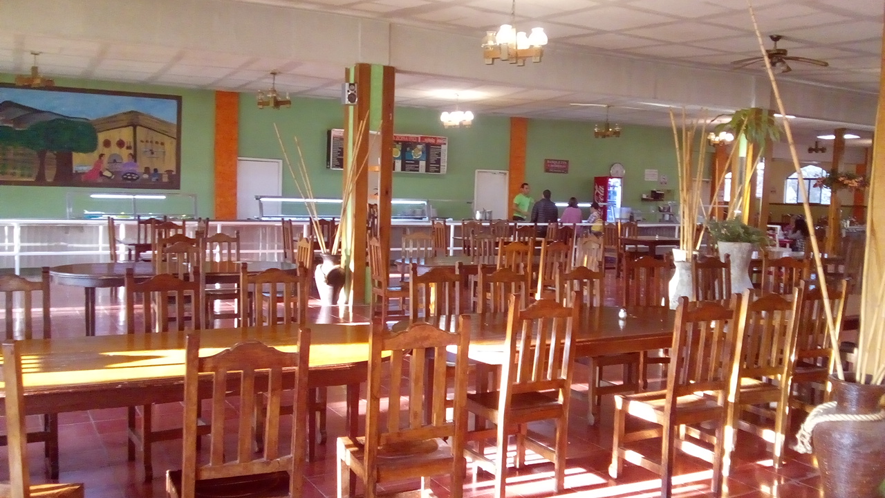 La Estrella de Dimas Pozos image 7