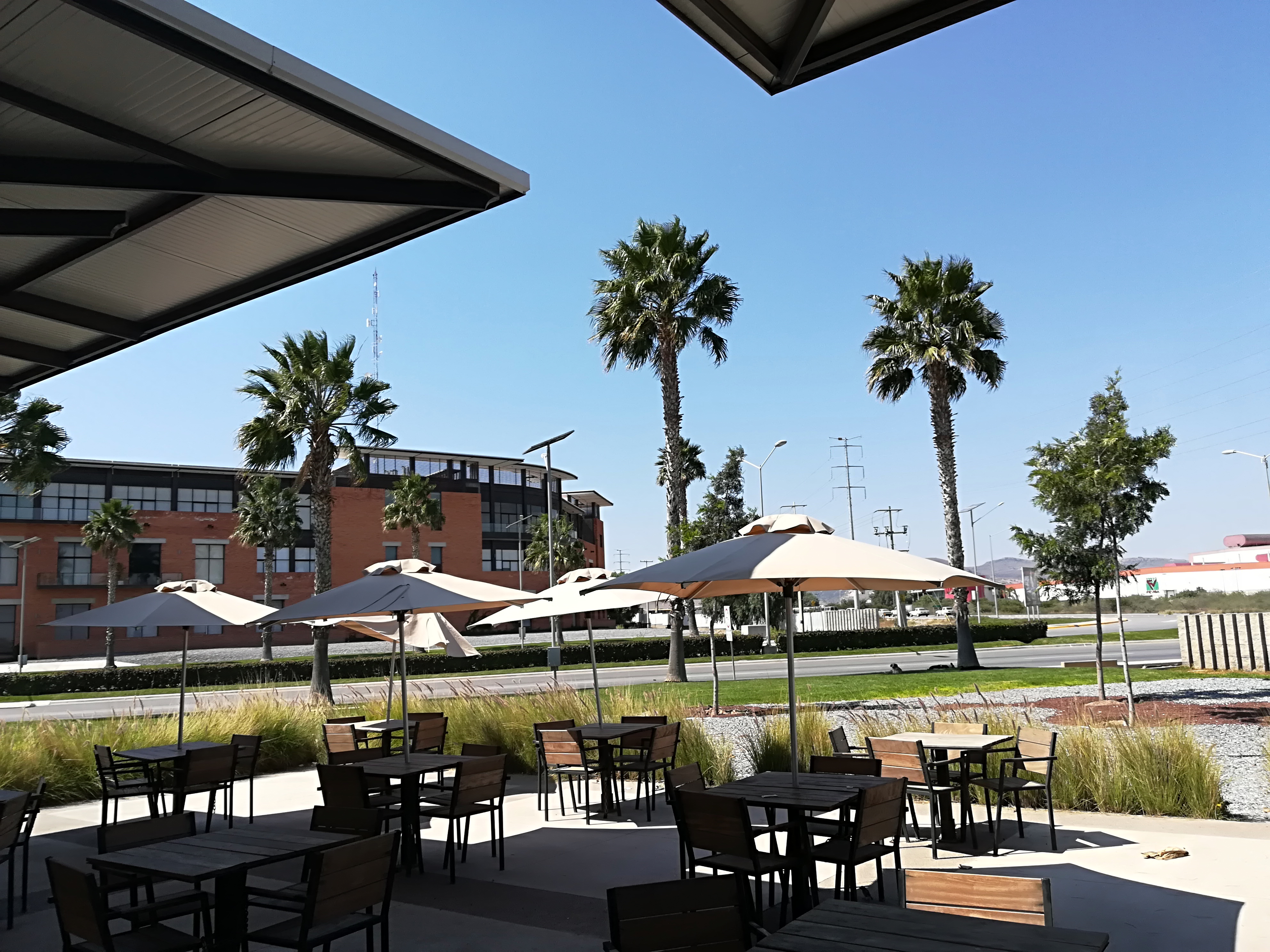 Domino's WTC San Luis Potosí image 2