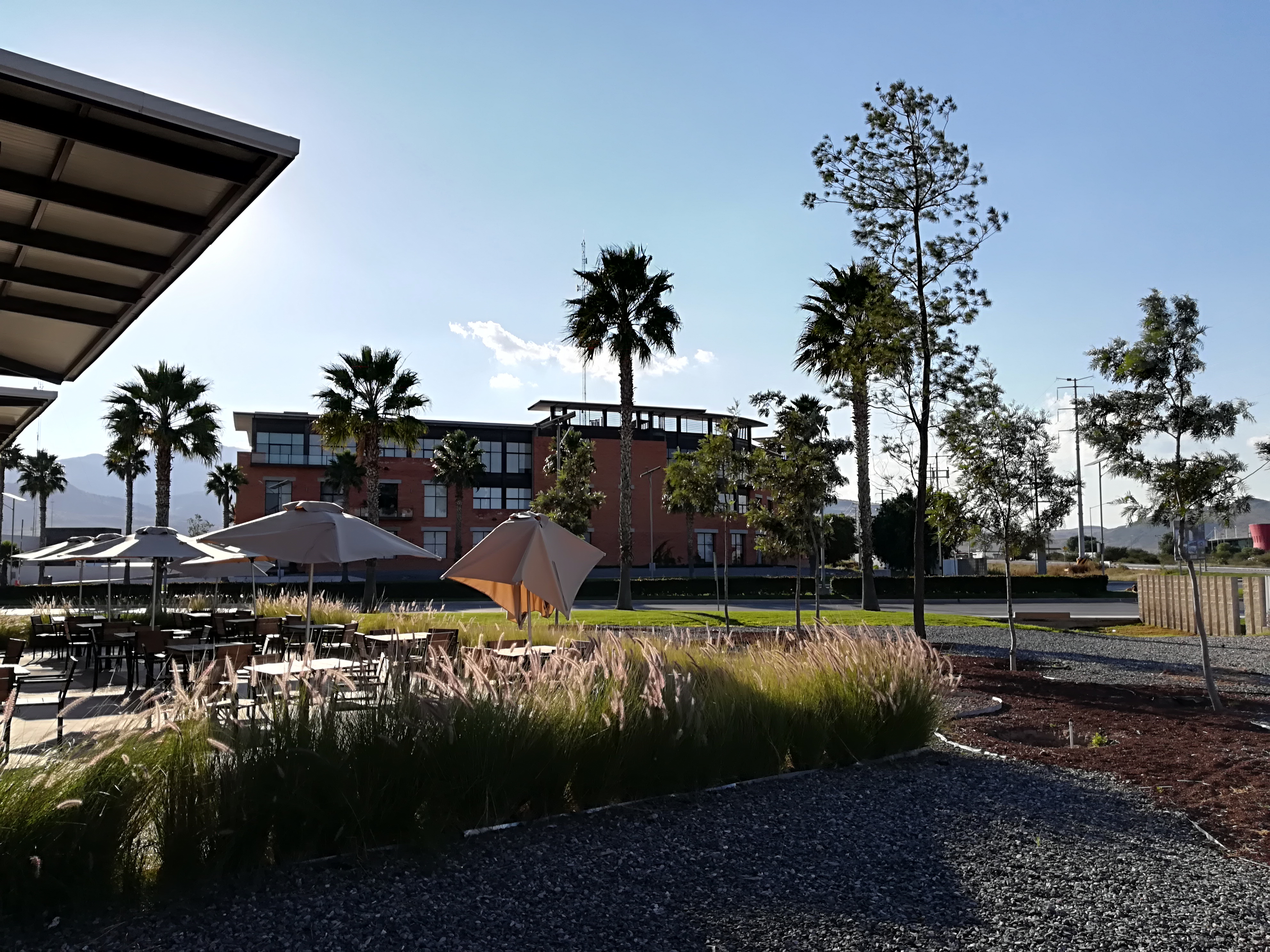 Domino's WTC San Luis Potosí image 7