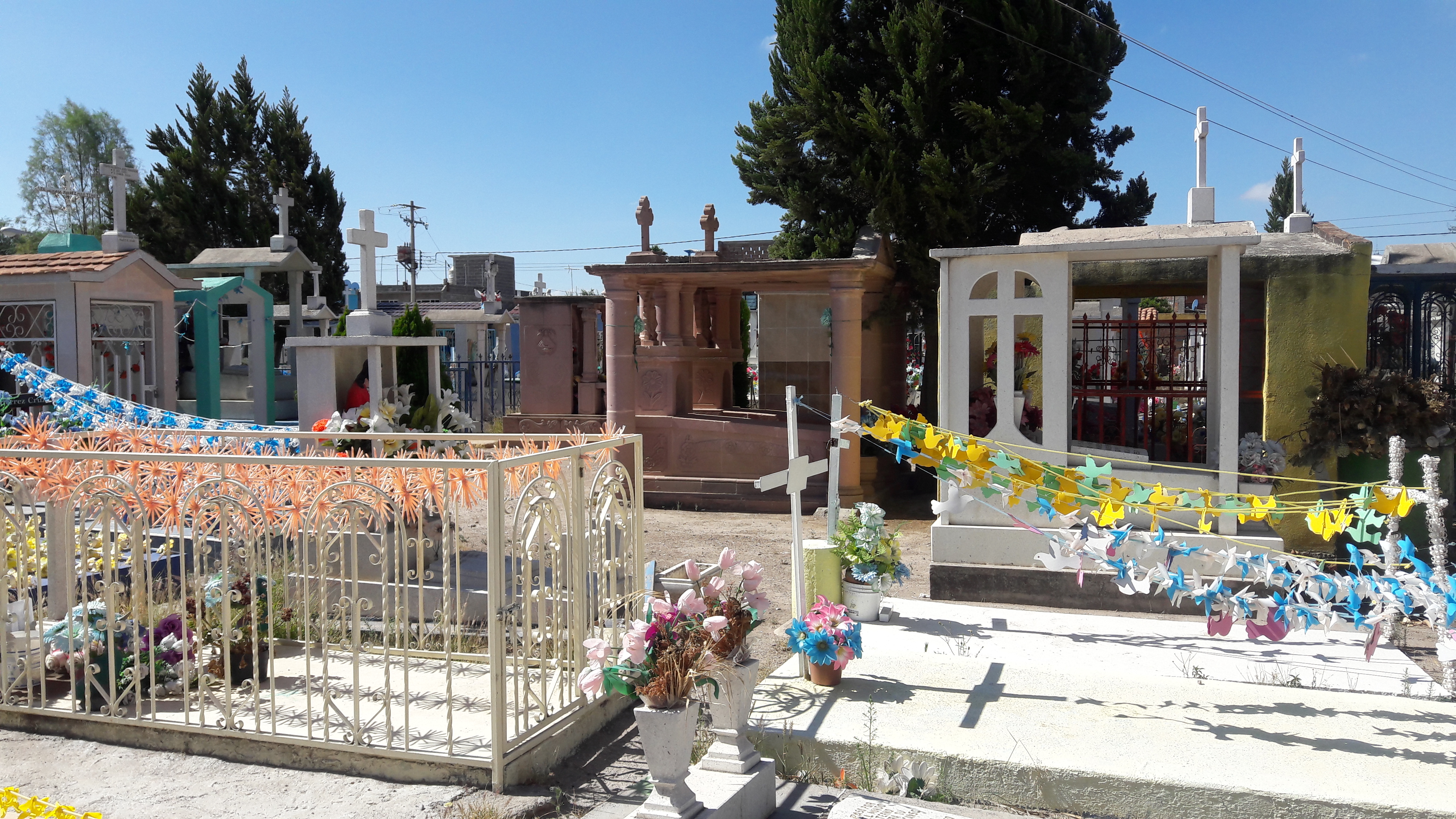 El Buen Comer image 2