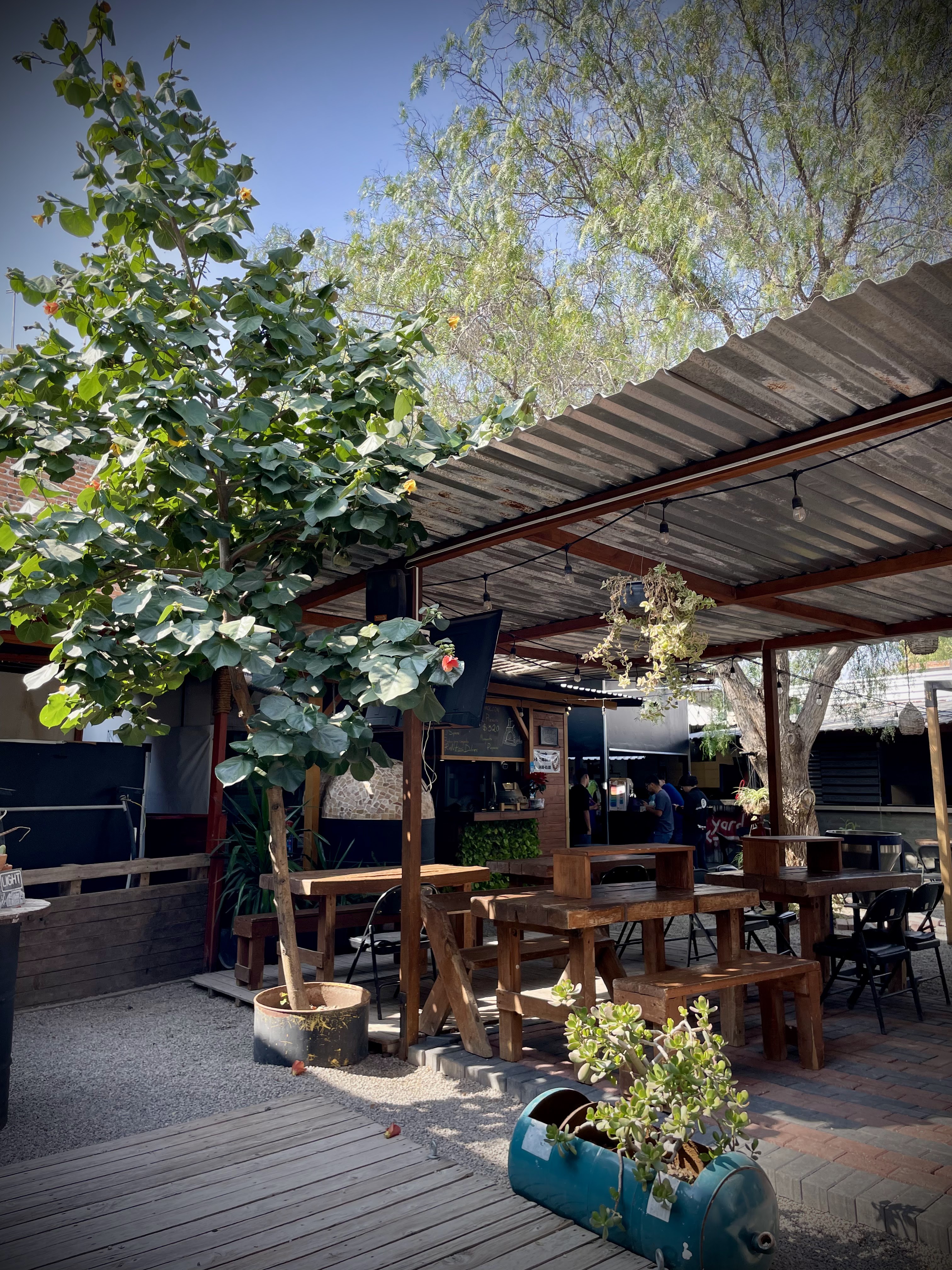 Central Park SLP image 1