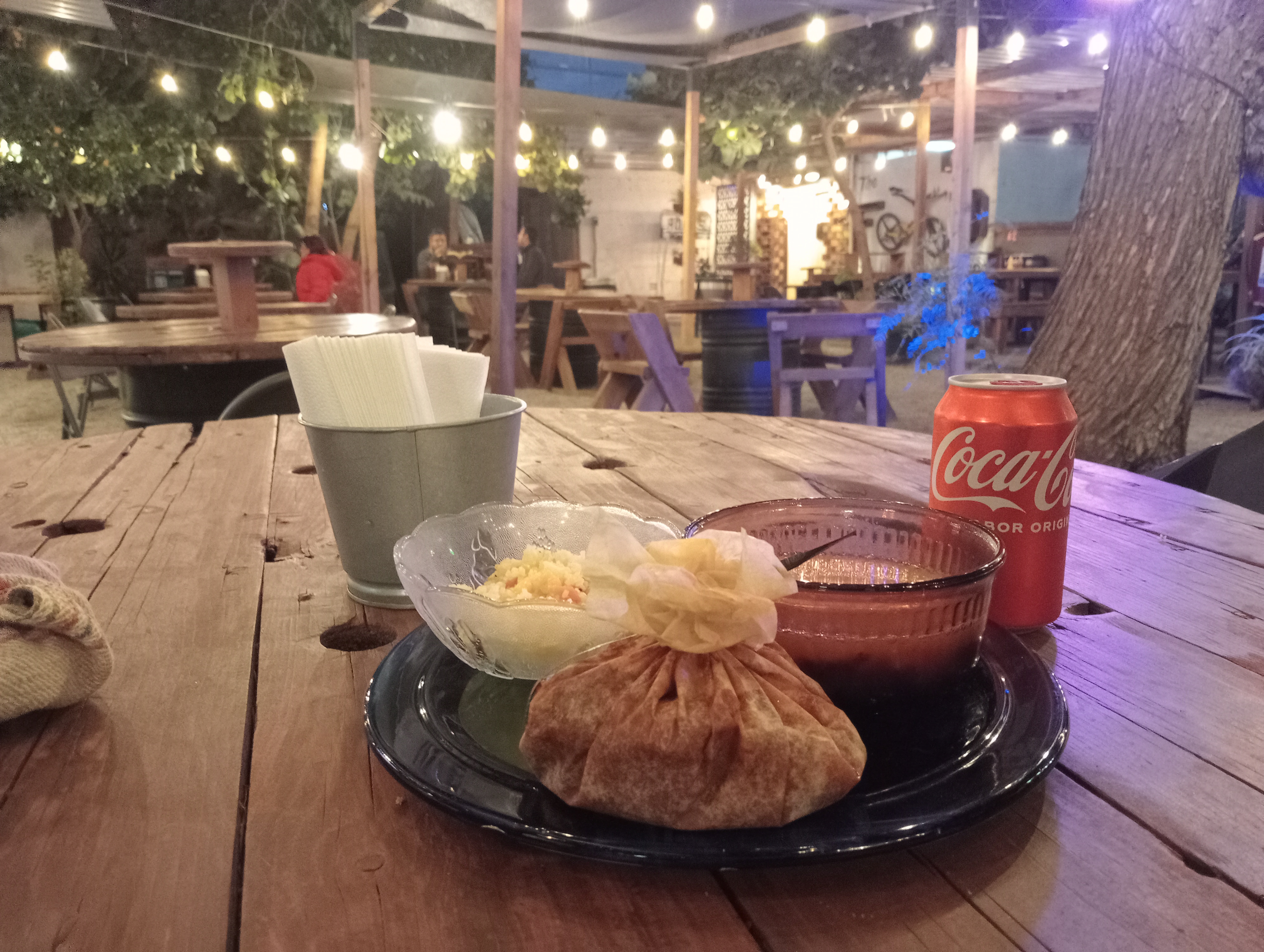 Central Park SLP image 4