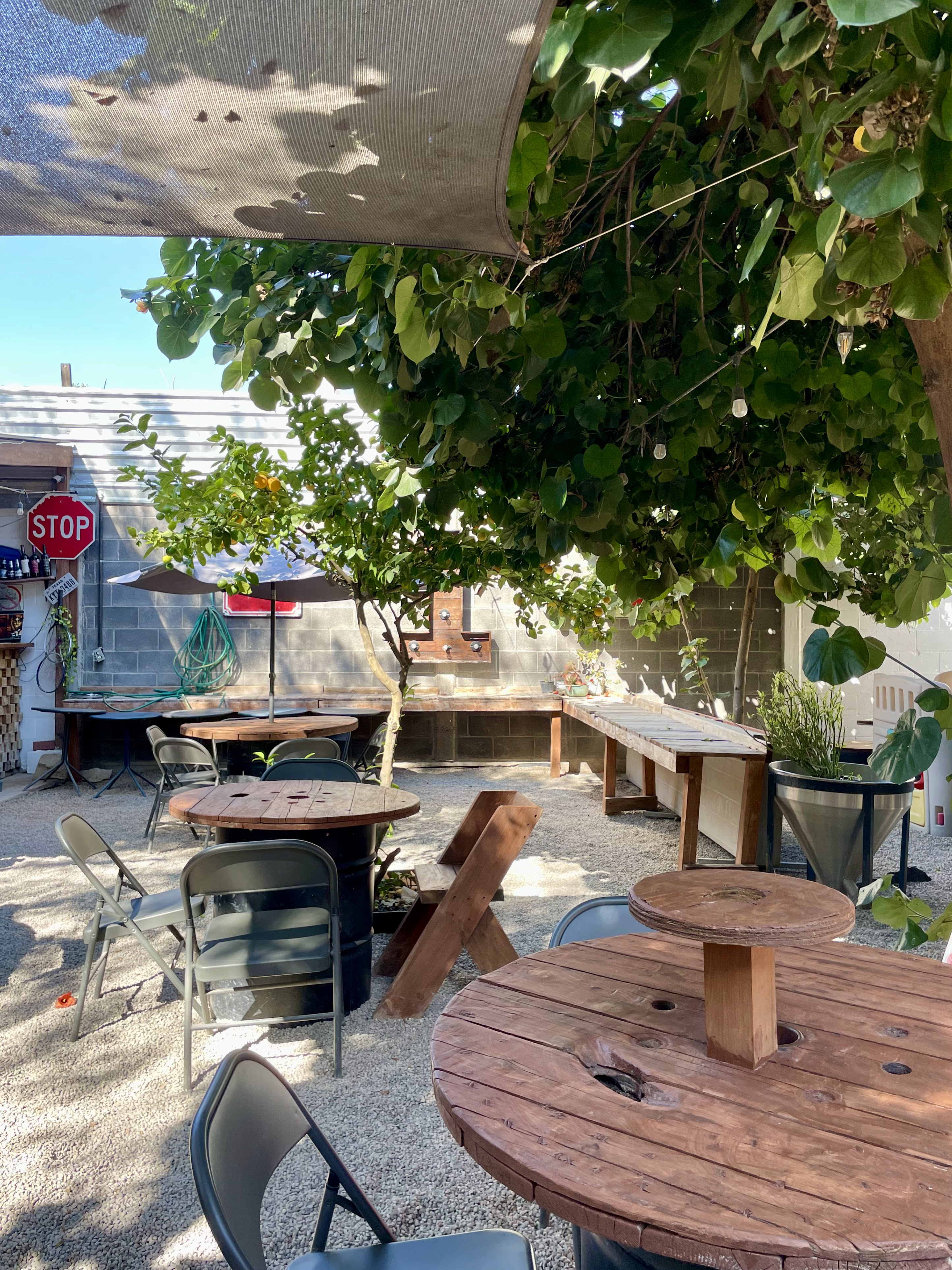 Central Park SLP image 5