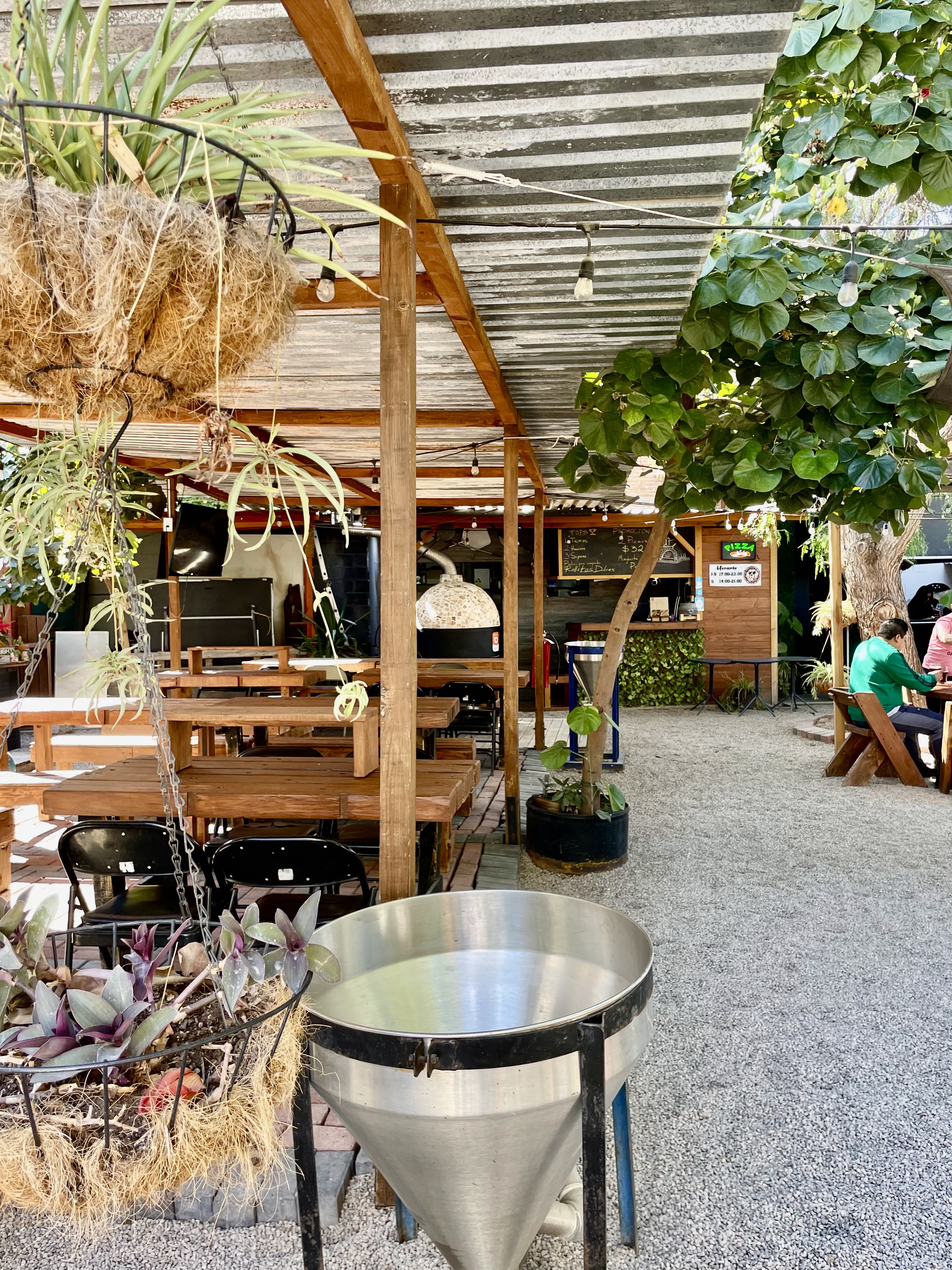 Central Park SLP image 10