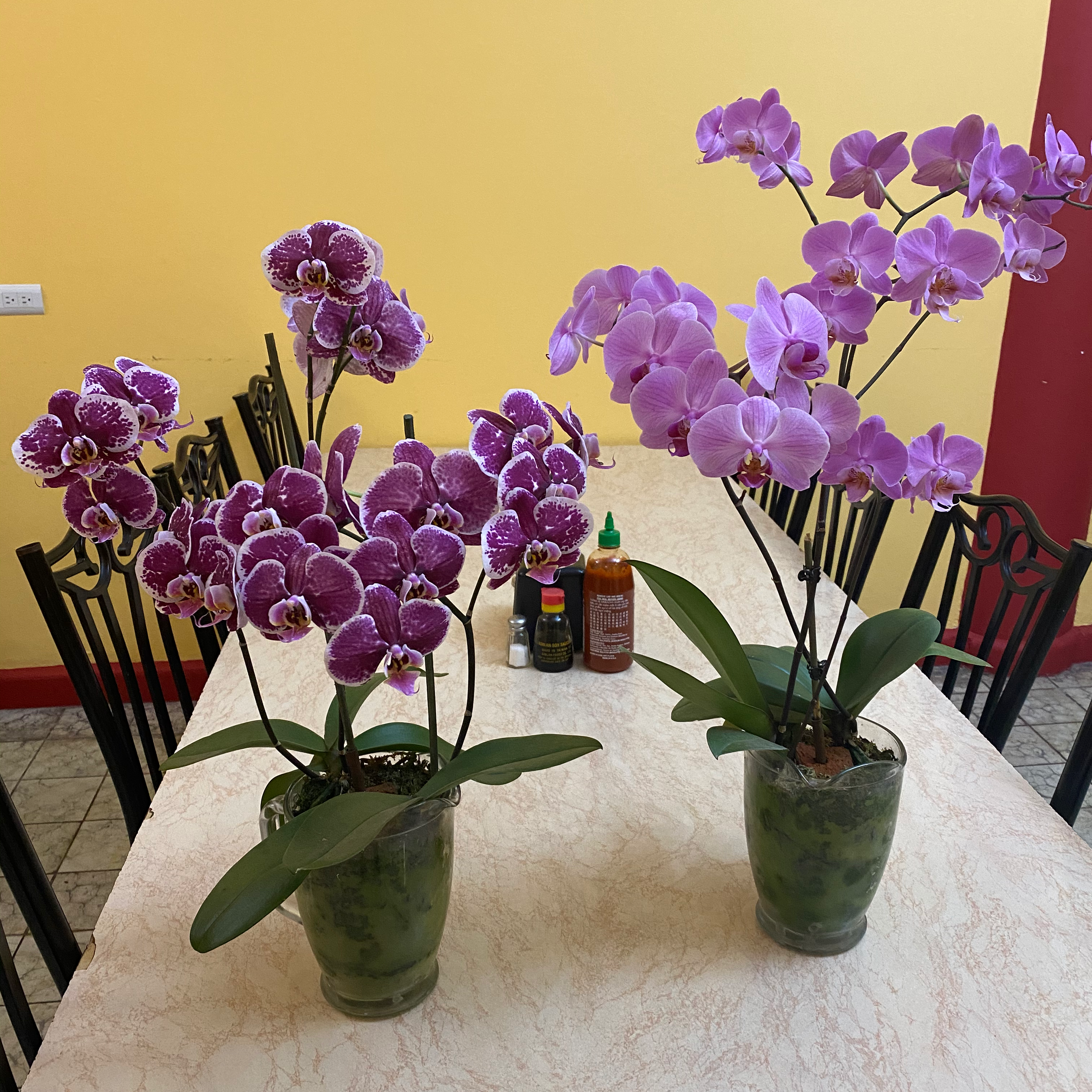 Restaurante Cin-Wah image 4