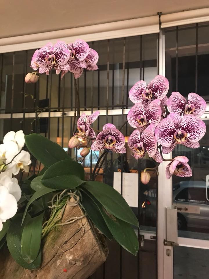 Restaurante Cin-Wah image 6