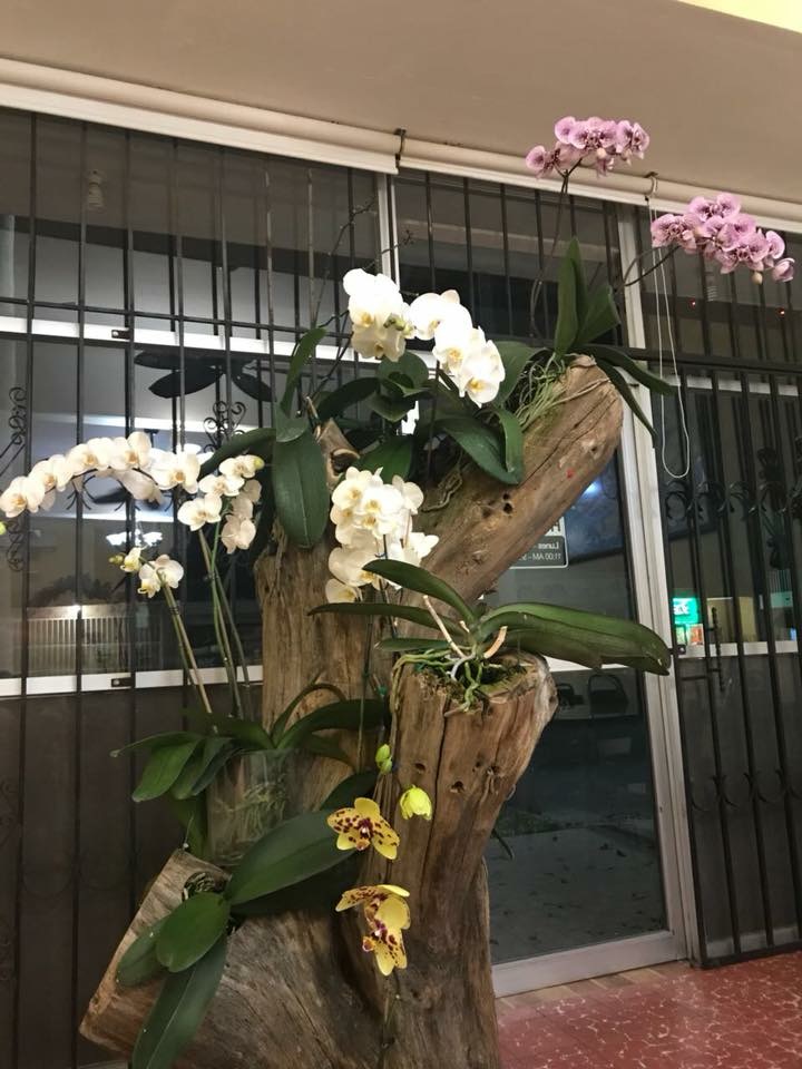 Restaurante Cin-Wah image 7