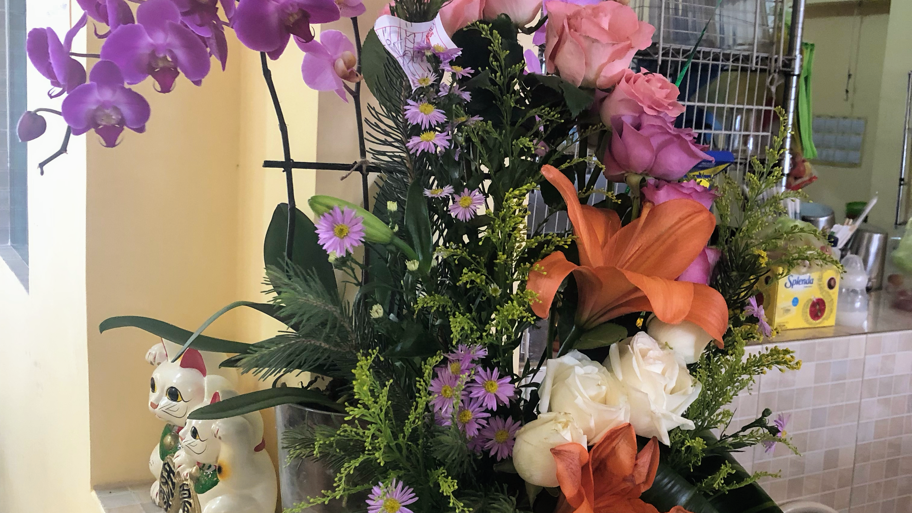 Restaurante Cin-Wah image 10