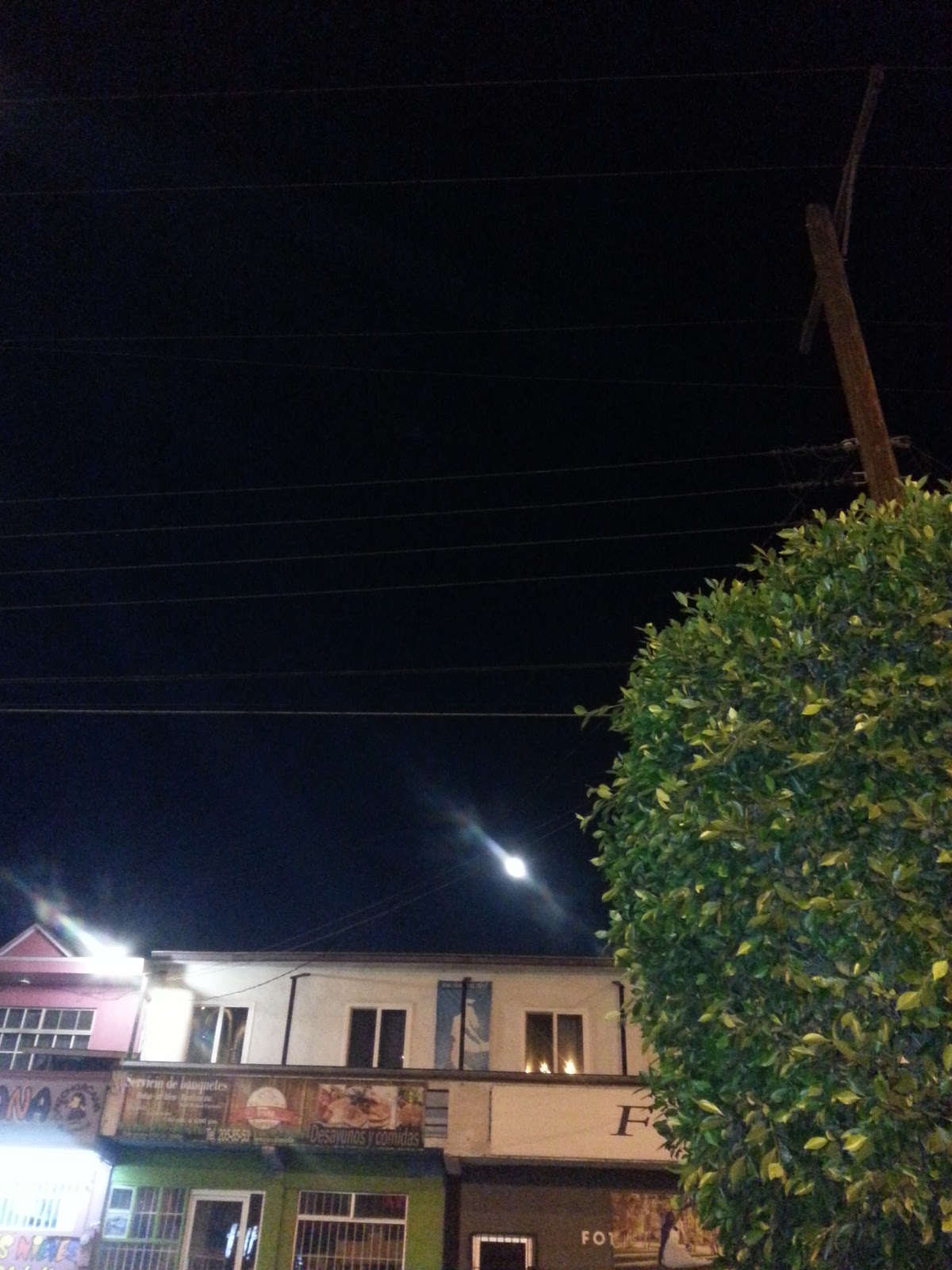 Restaurante Comida China Casa Treno image 4