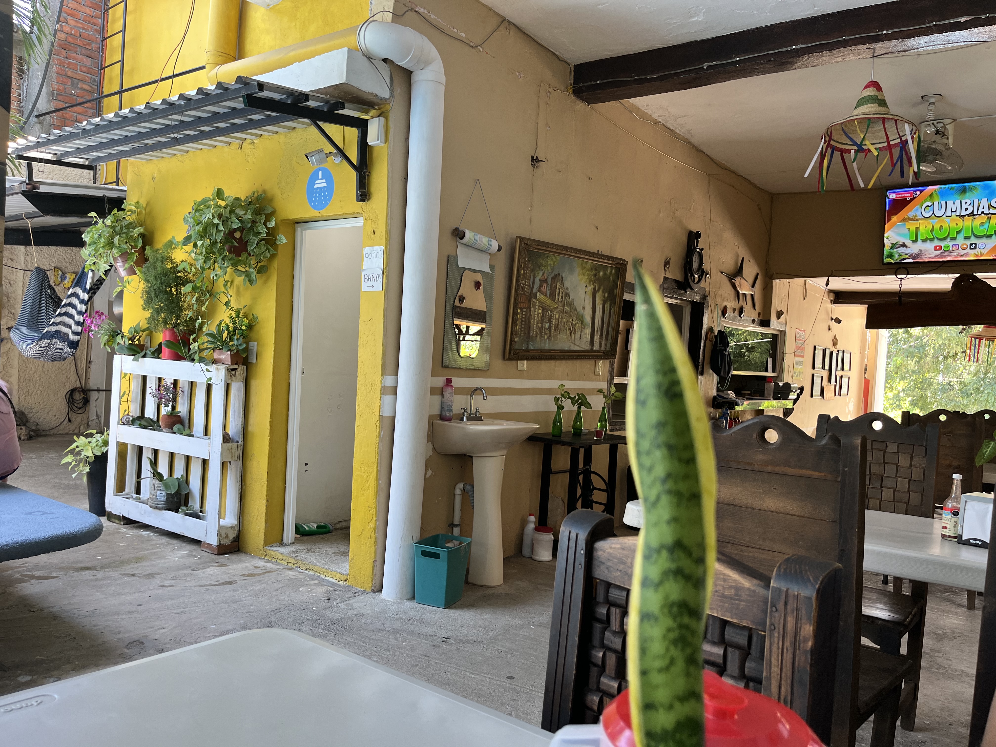 Restaurant Dalia image 1