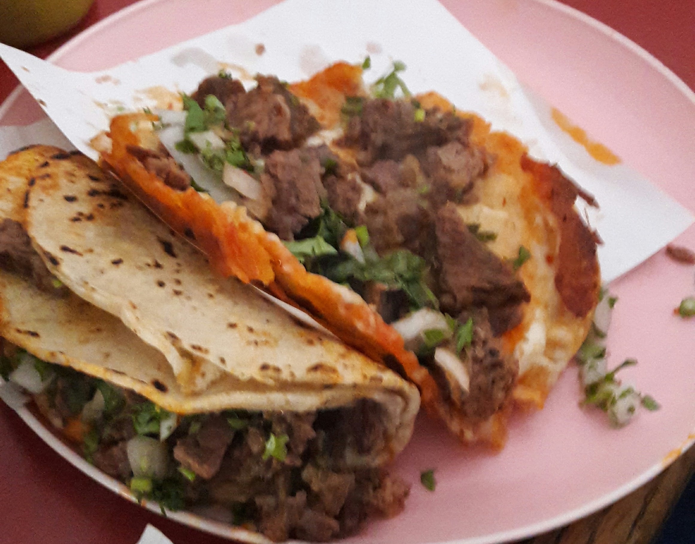 TACOS DE BIRRIA ALEX image 1