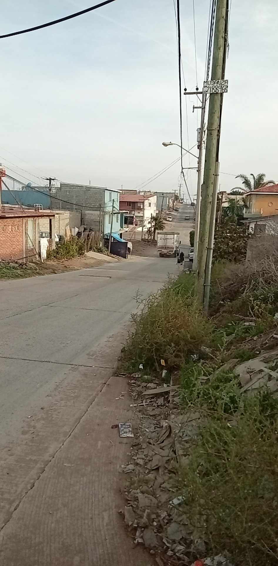 TACOS DE BIRRIA ALEX image 10