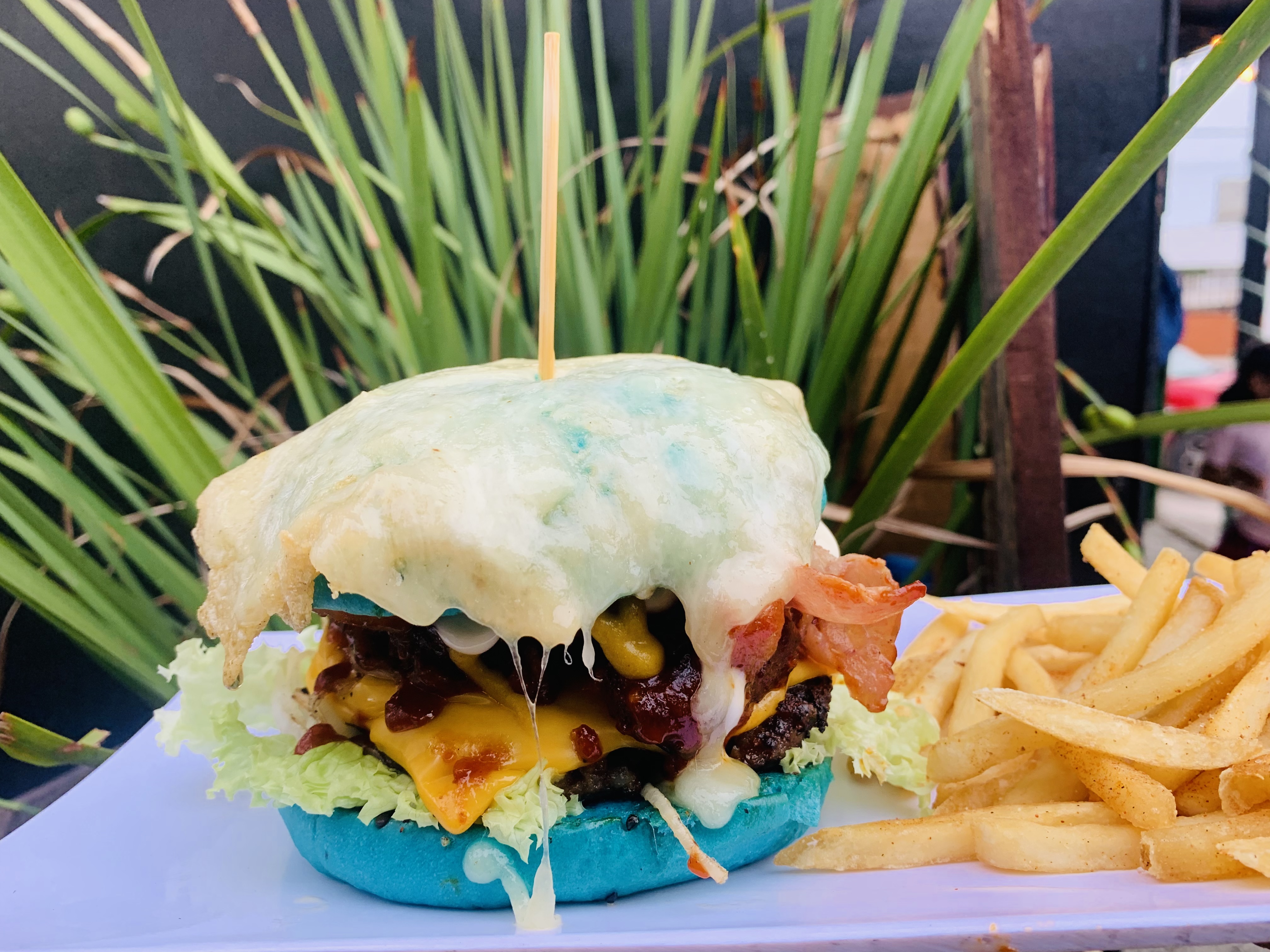 ColorBurgers image 3