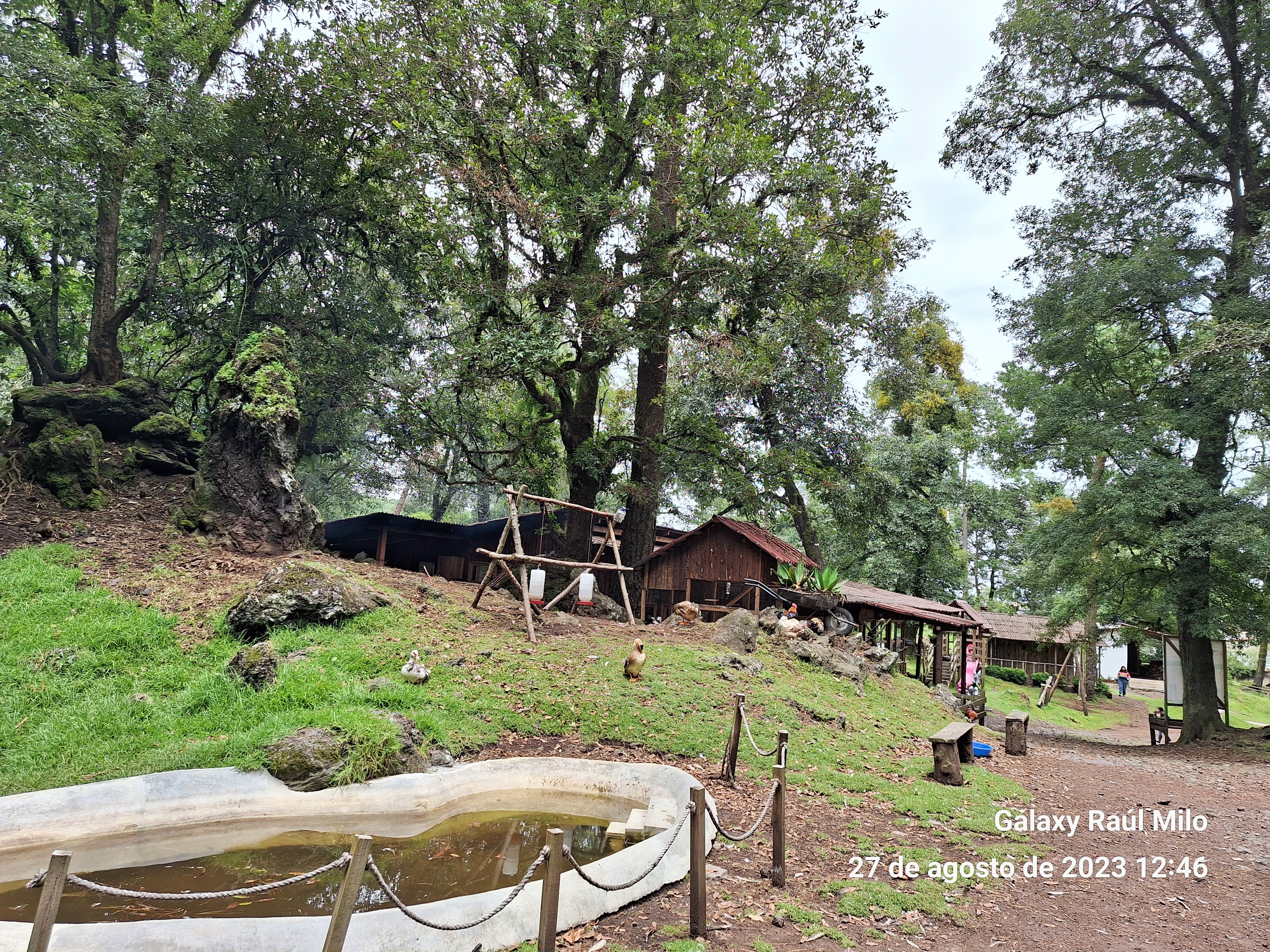 Cocina Economica Lucy image 1