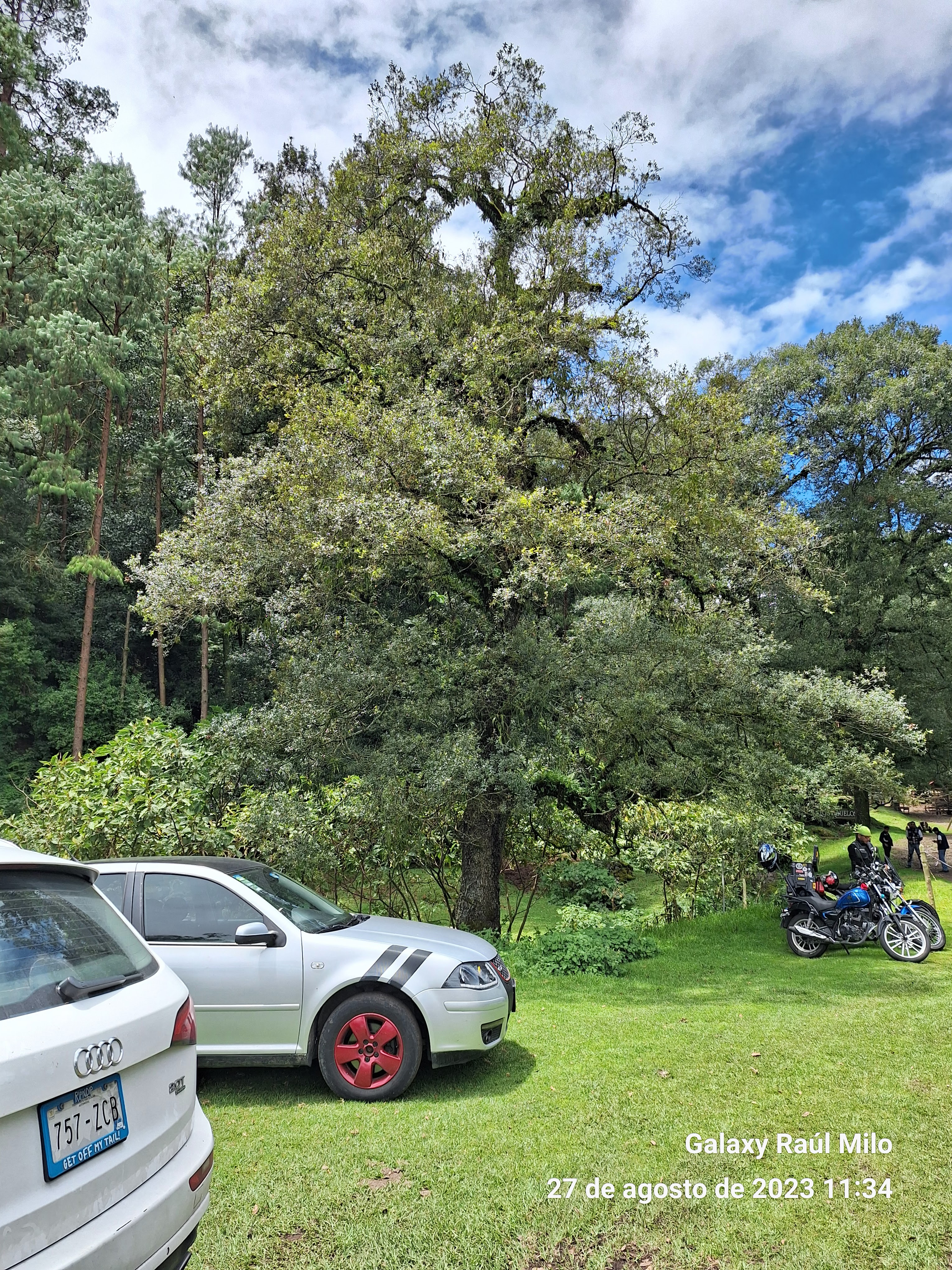 Cocina Economica Lucy image 6