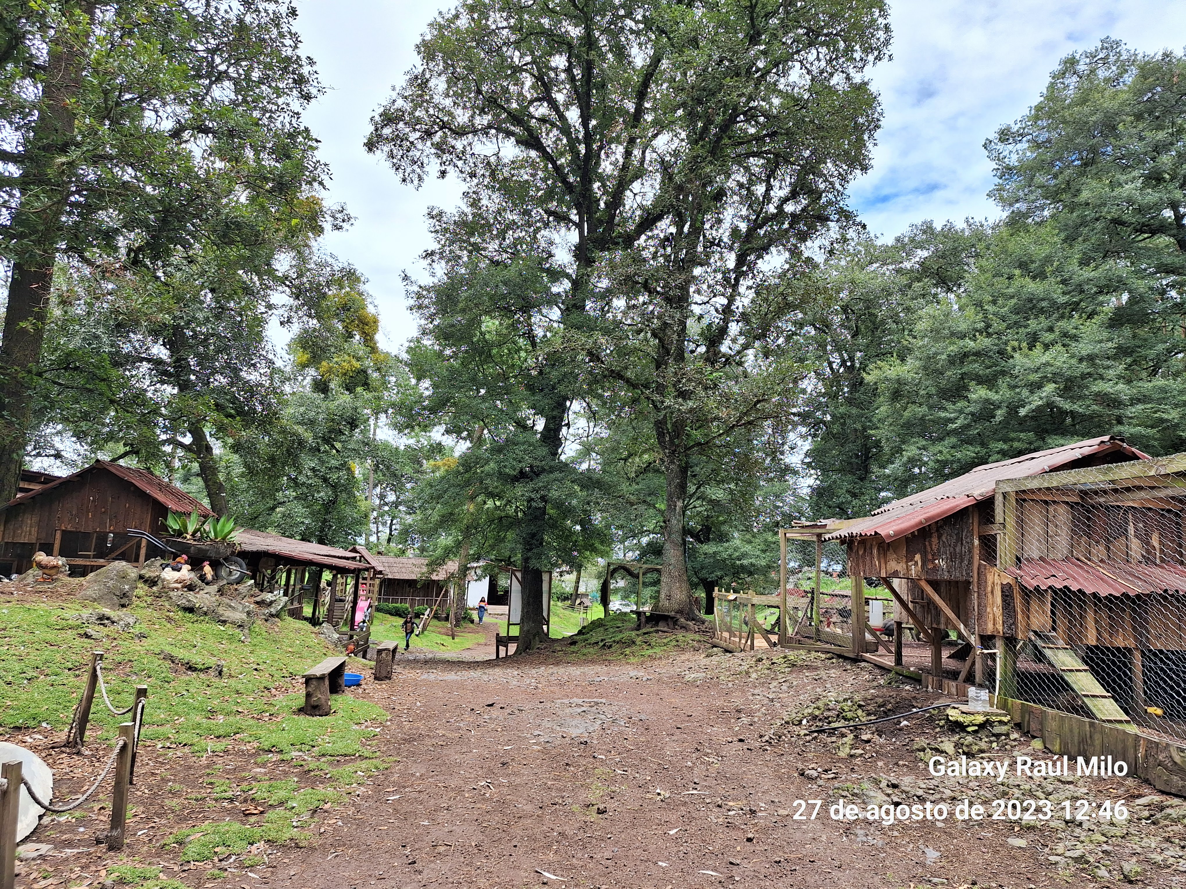 Cocina Economica Lucy image 9