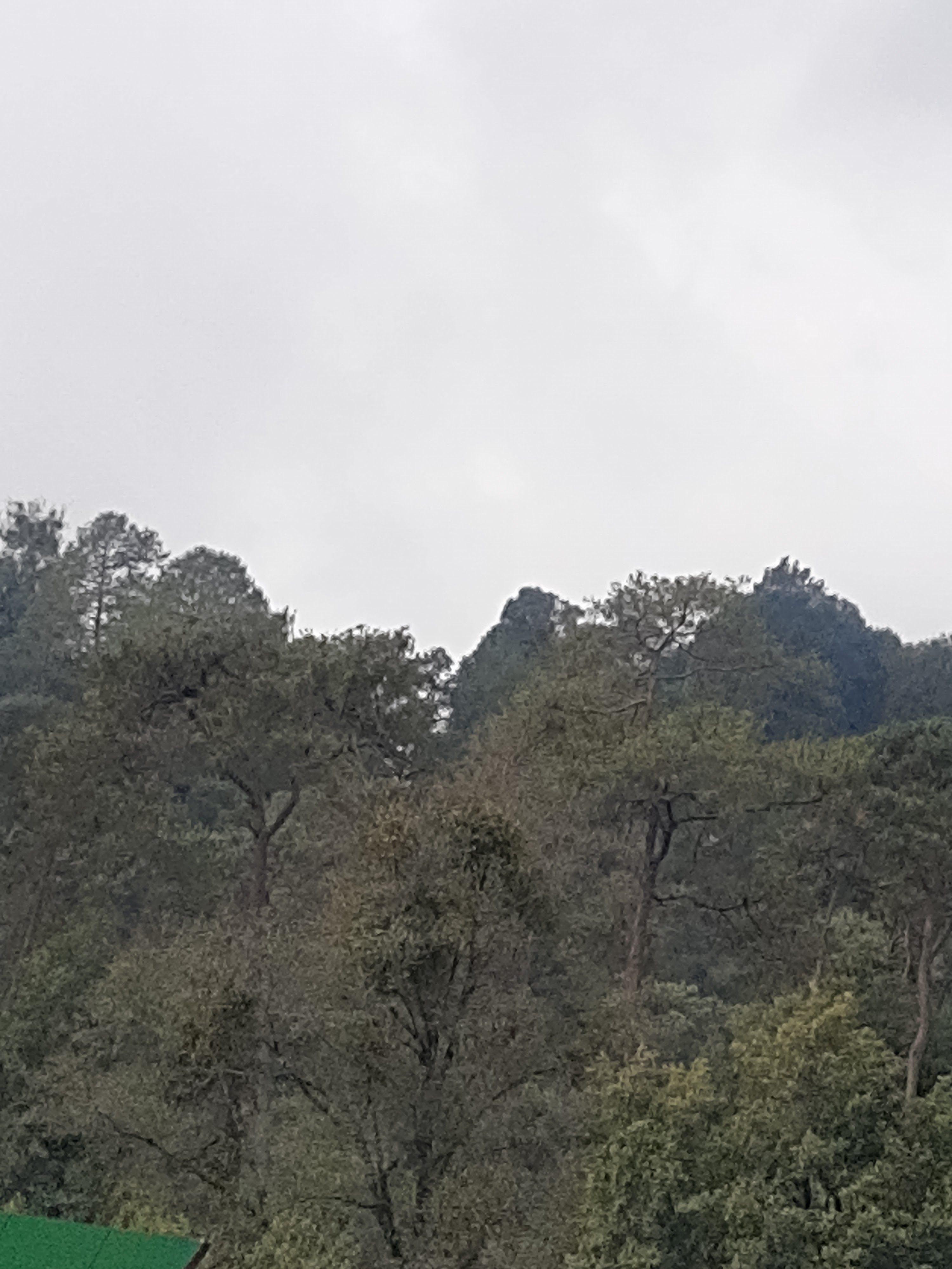 Carnitas "DUY" image 1