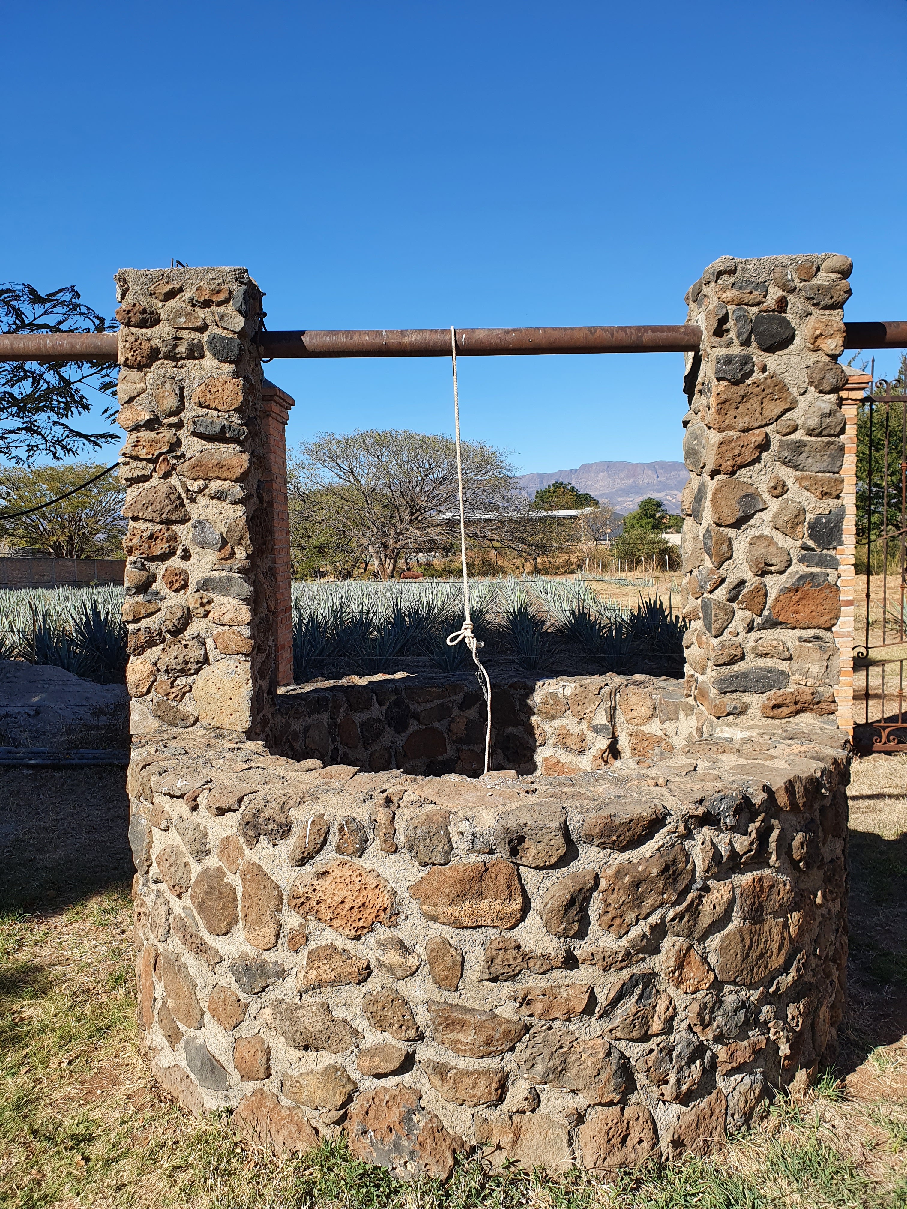 Caborca Braseritos image 8