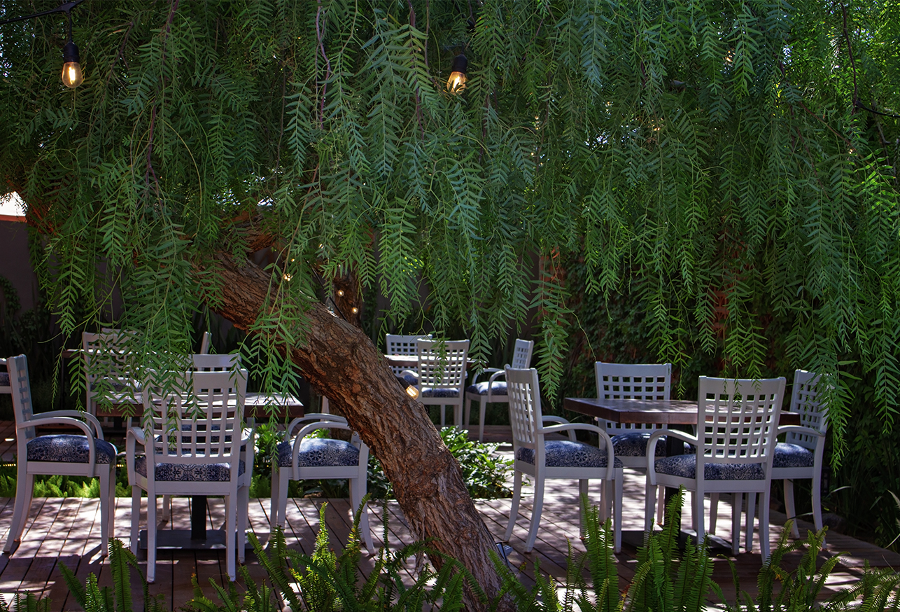Cissus Restaurant image 4