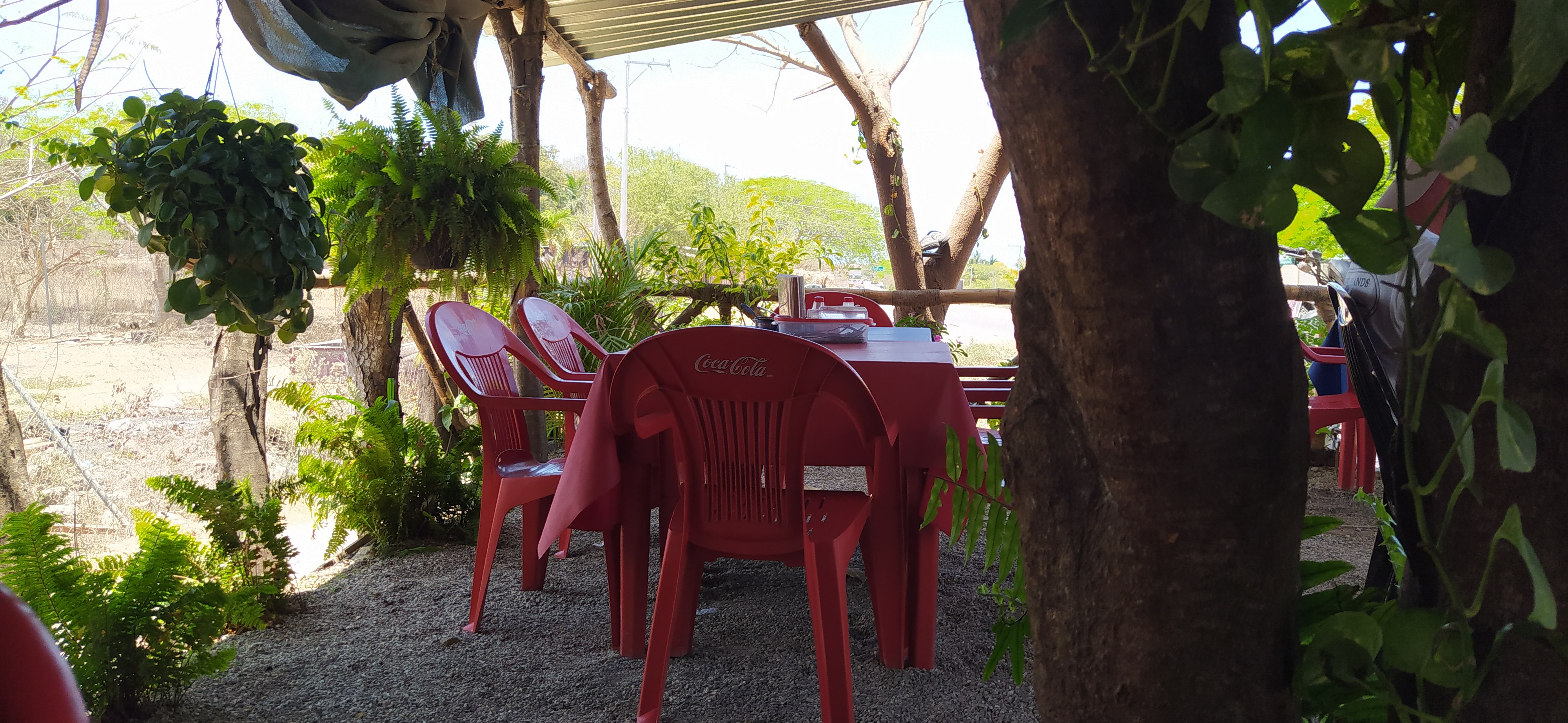 Pollos a la Leña González image 1