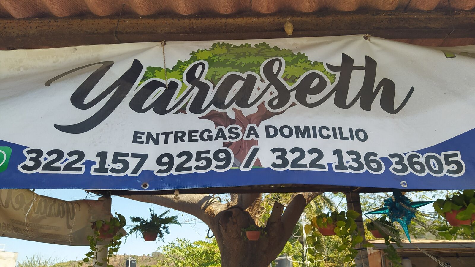 Yaraseth image 7
