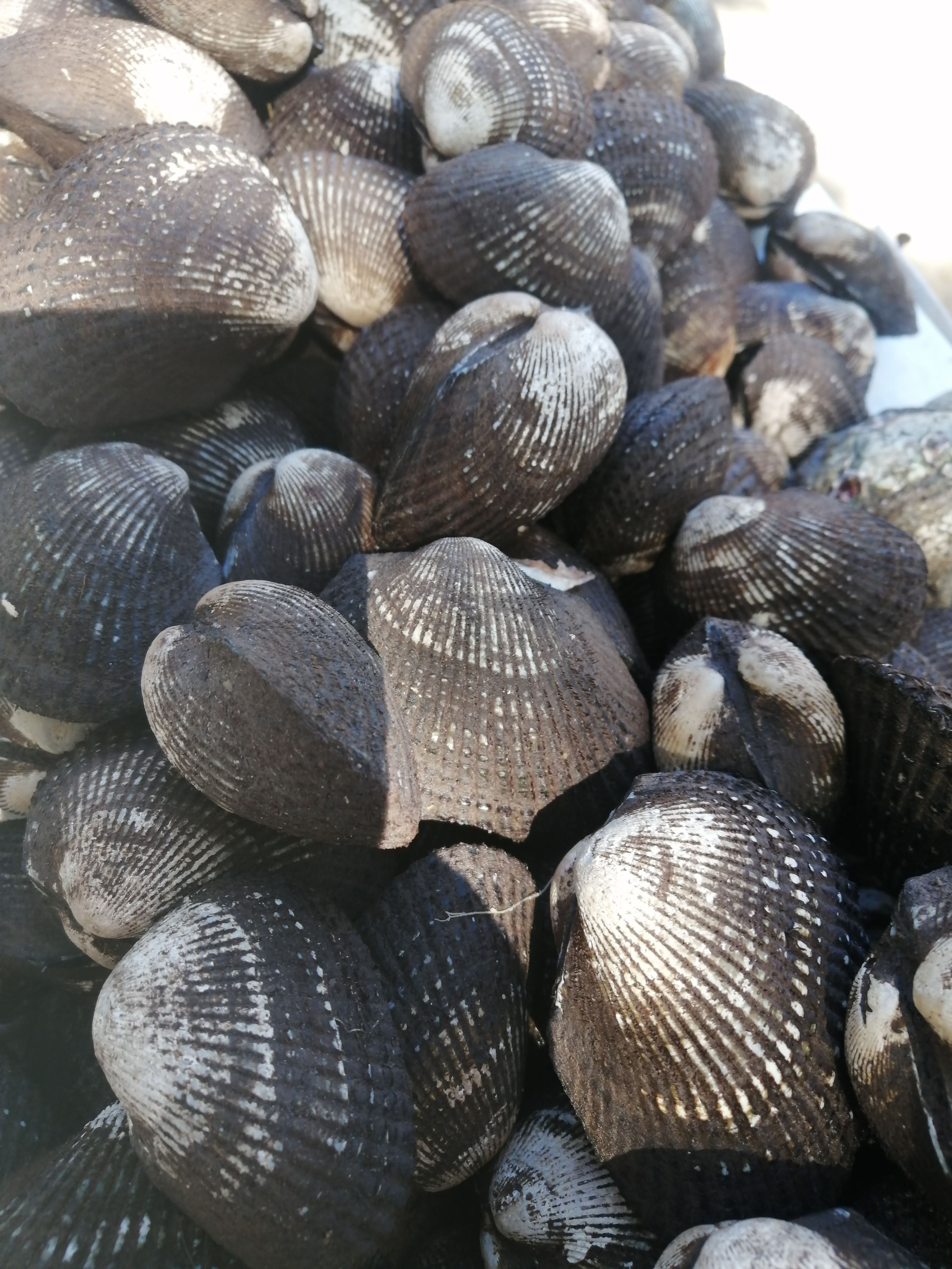 Mariscos el tapanko image 7