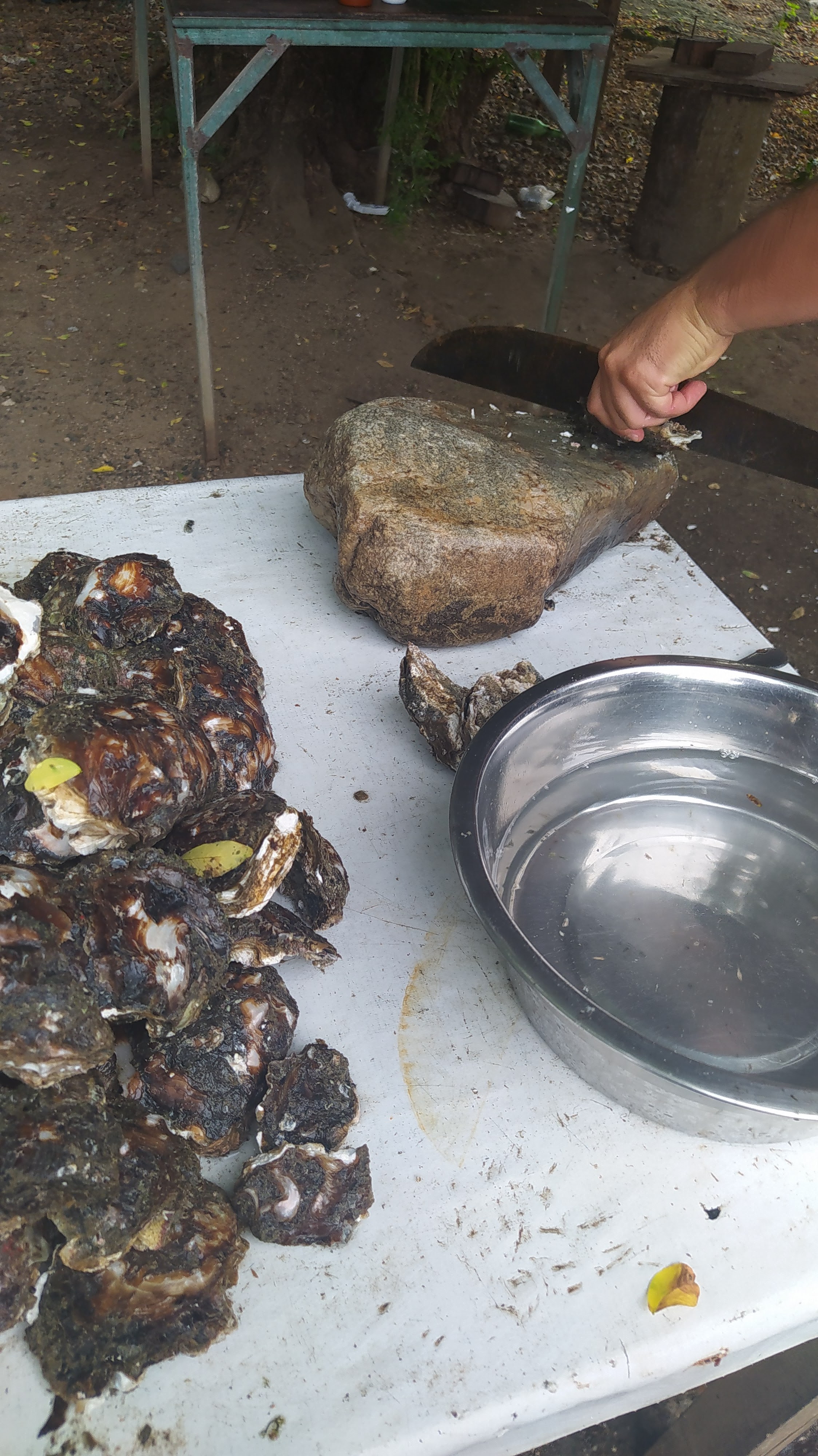 Mariscos el tapanko image 9