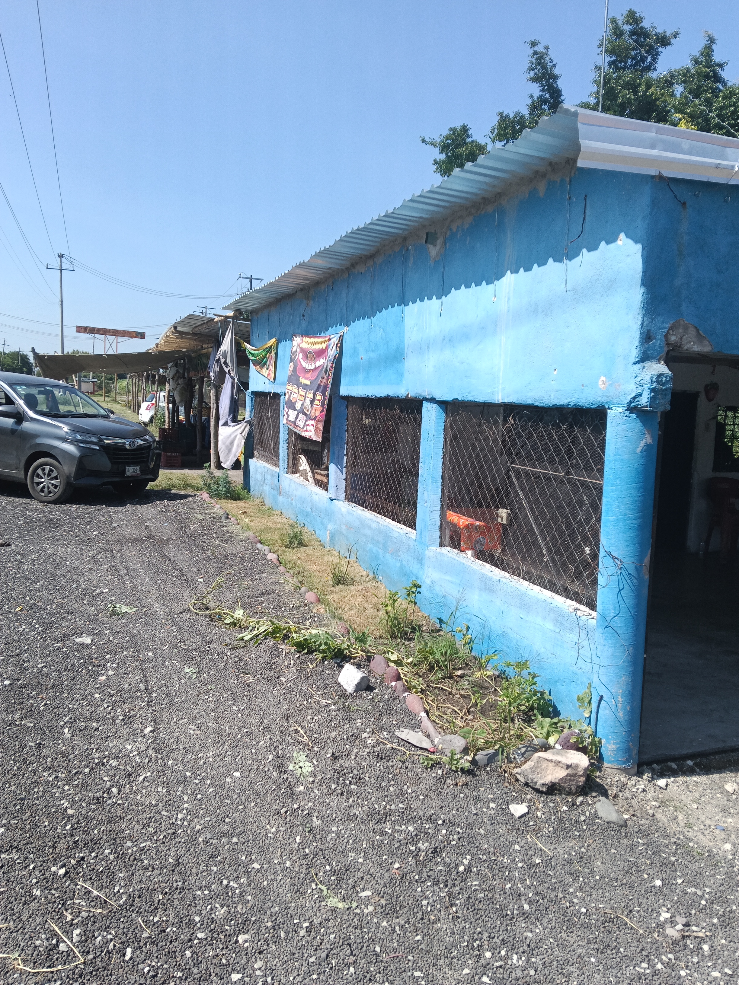 El sazón de la tía mellos image 3