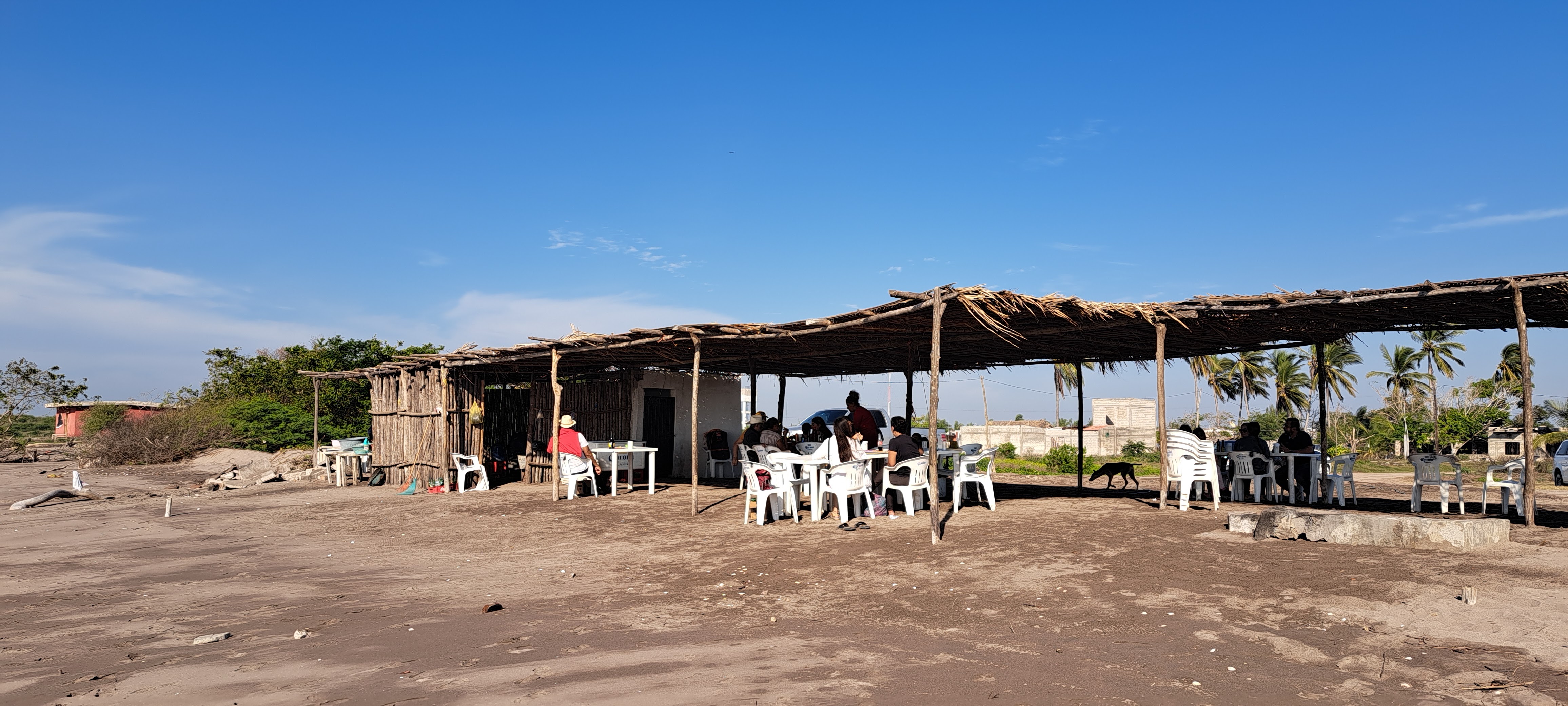 Botanero Marcos image 8