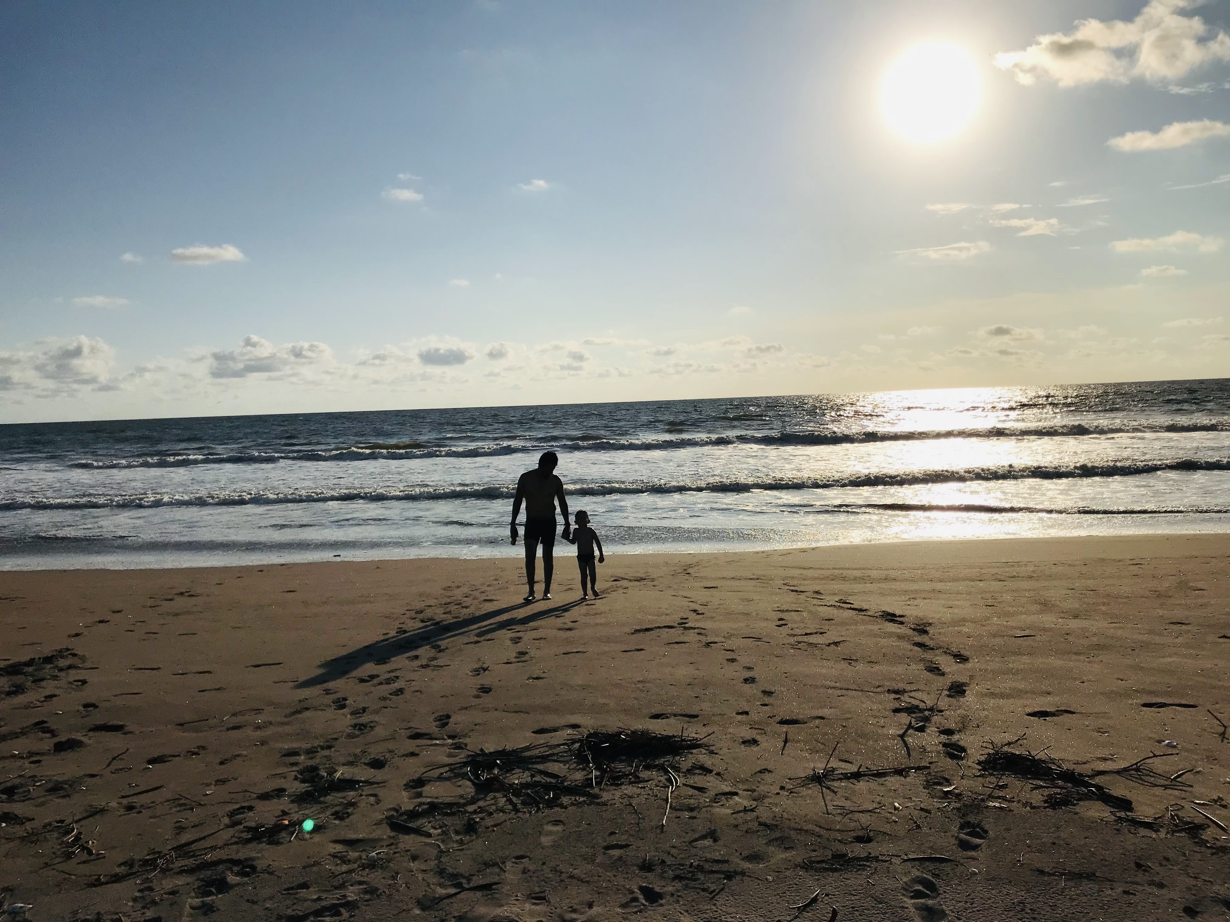 Botanero Marcos image 9