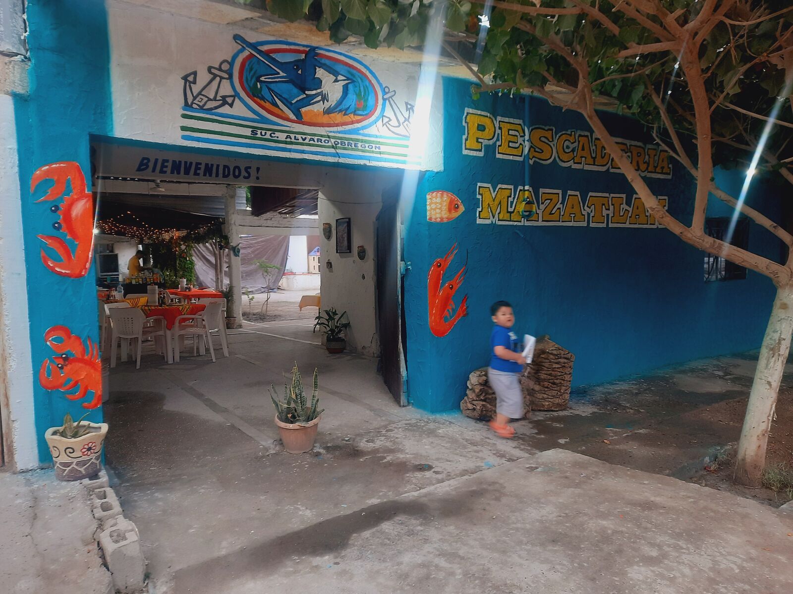 pescaderia mazatlan jr image 3