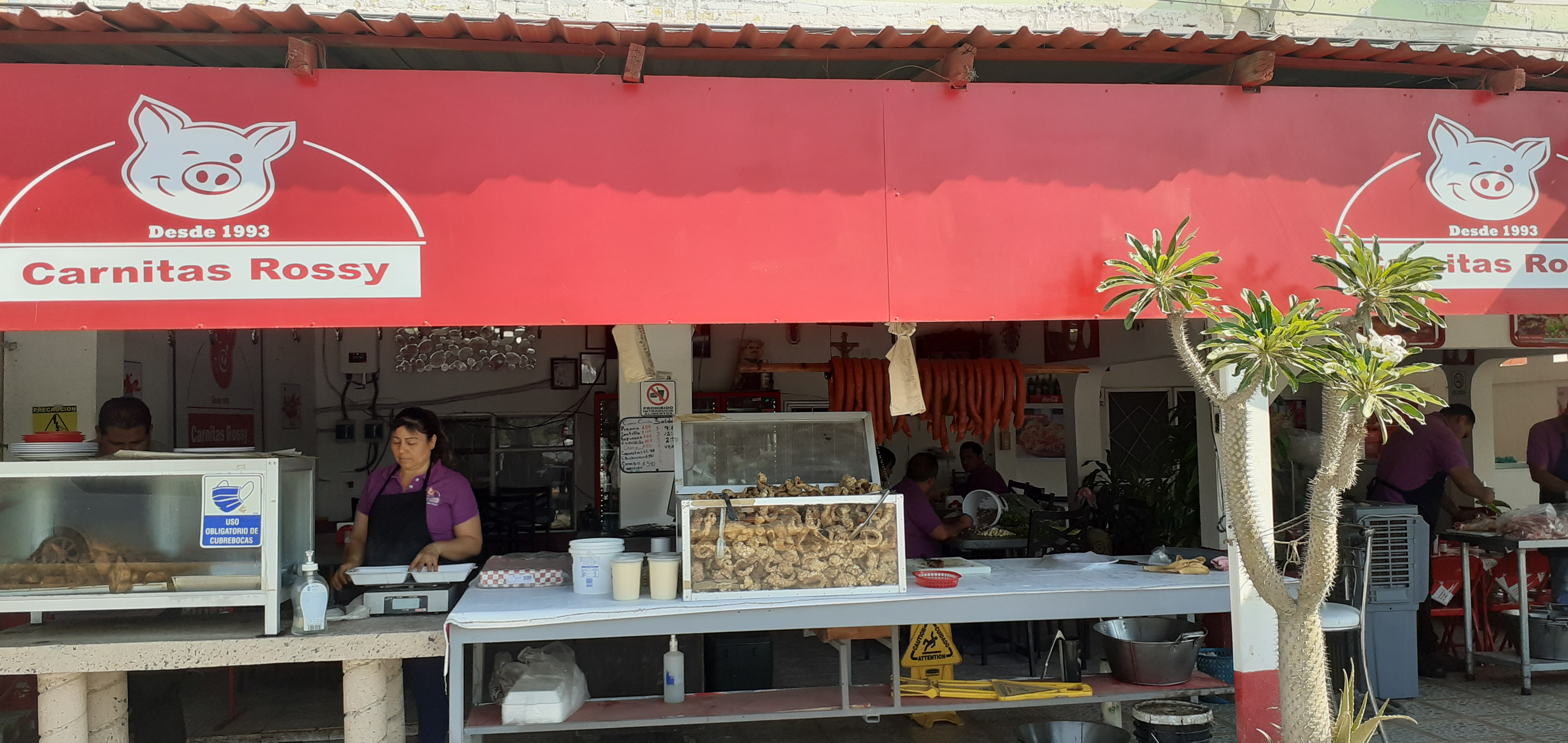 Carnitas "Rossy" image 5