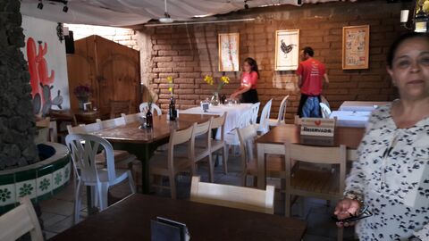 Parripollo image 7