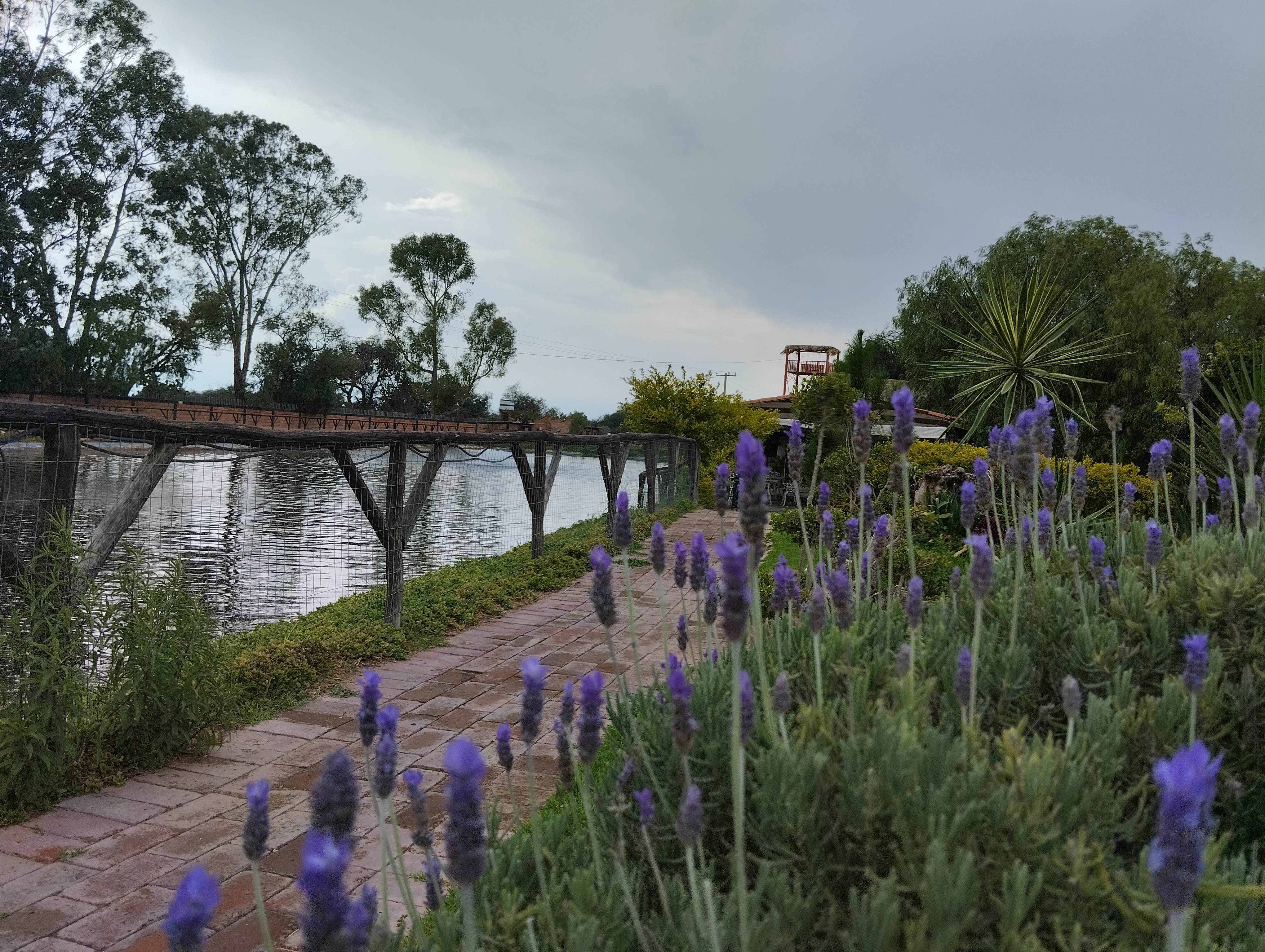 Rancho Santa Fe image 7